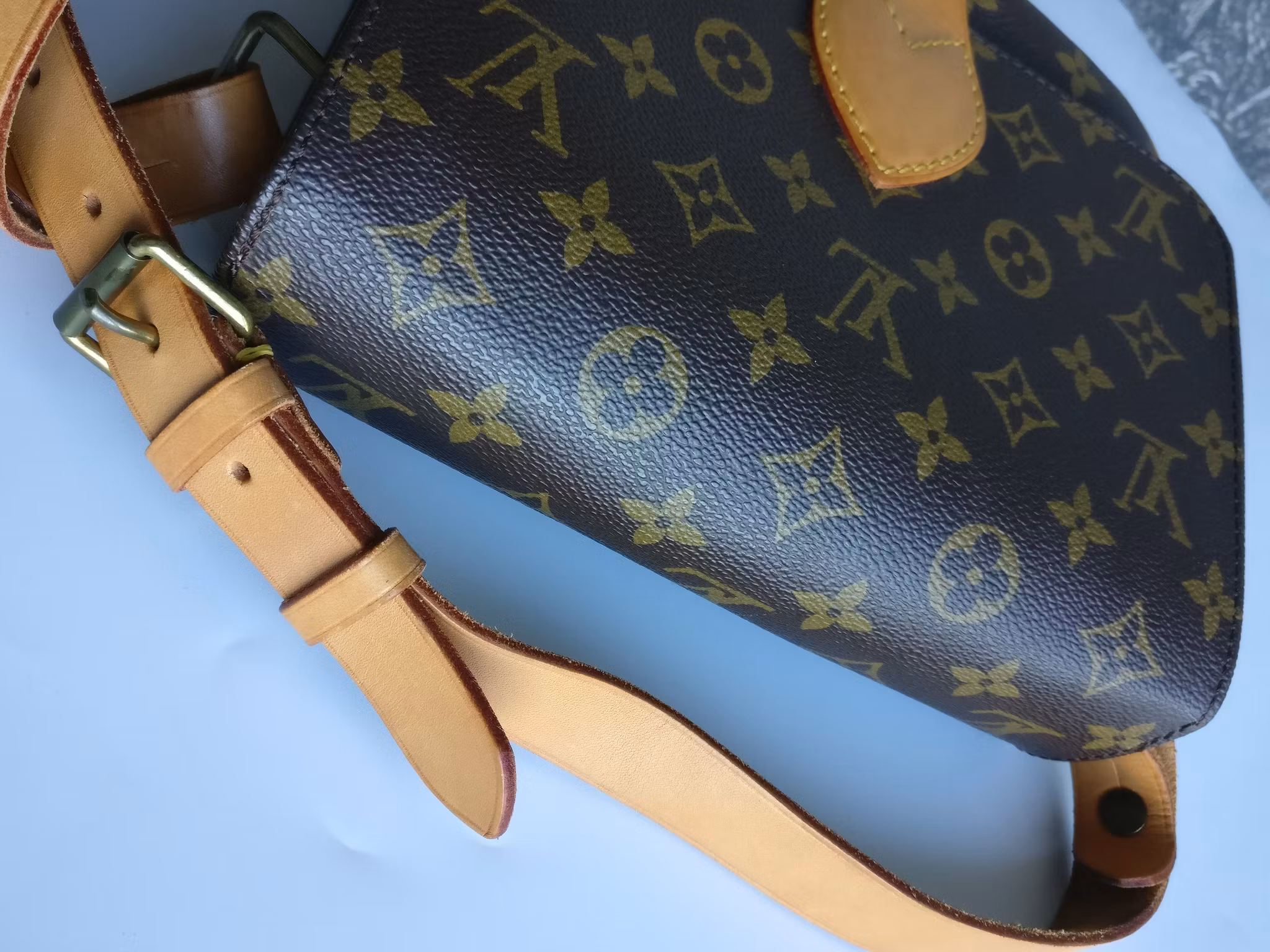 Louis Vuitton Cartouchiere MM
