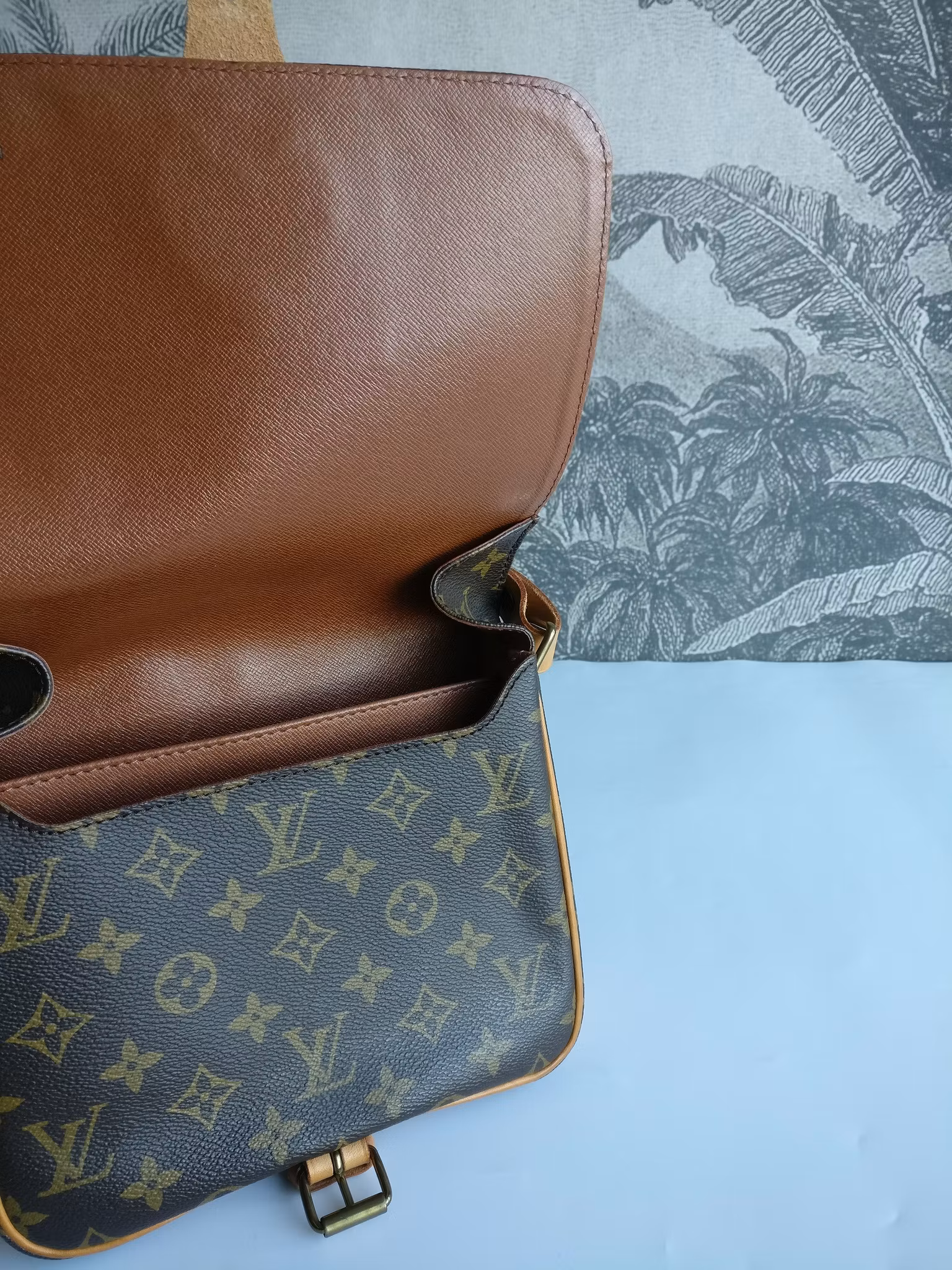 Louis Vuitton Cartouchiere MM