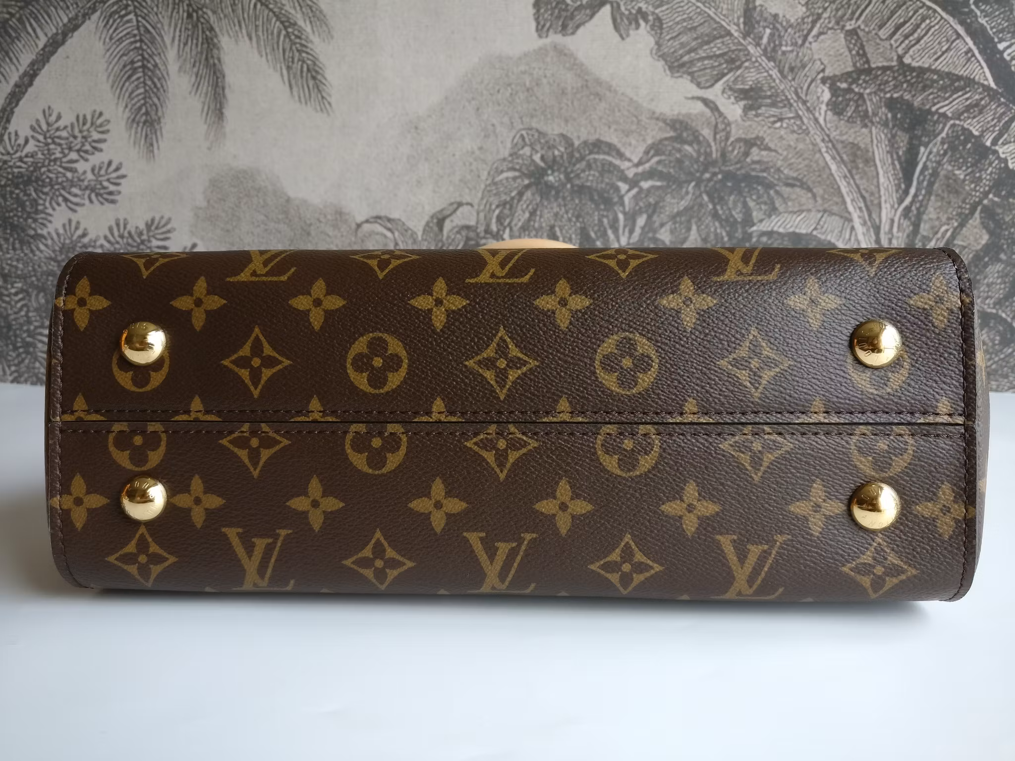 Louis Vuitton Cluny MM