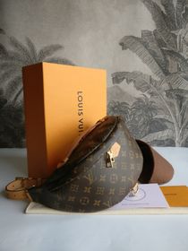 Louis Vuitton Bumbag