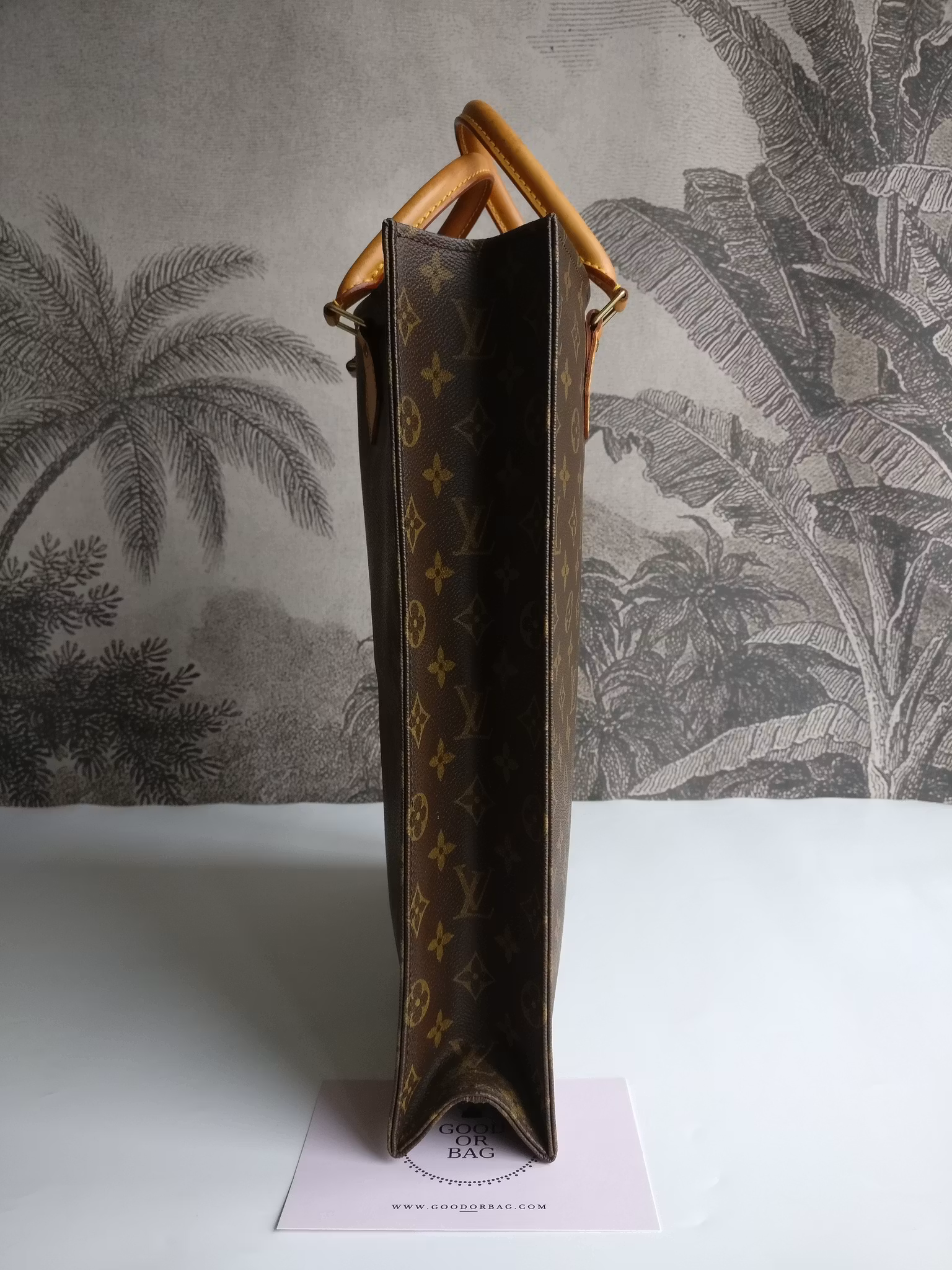 Louis Vuitton Sac Plat