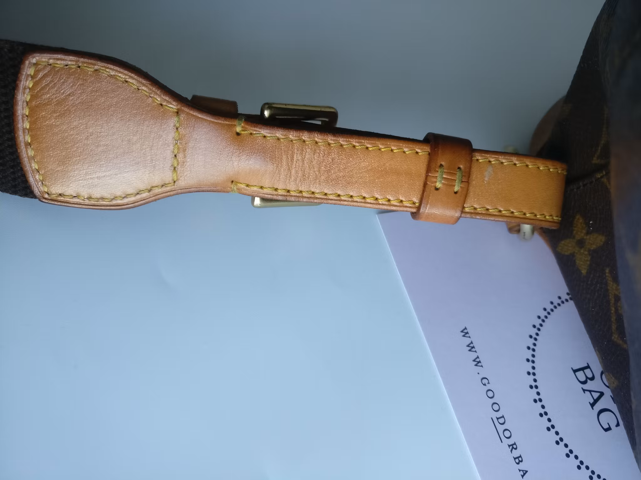 Louis Vuitton Montsouris GM backpack