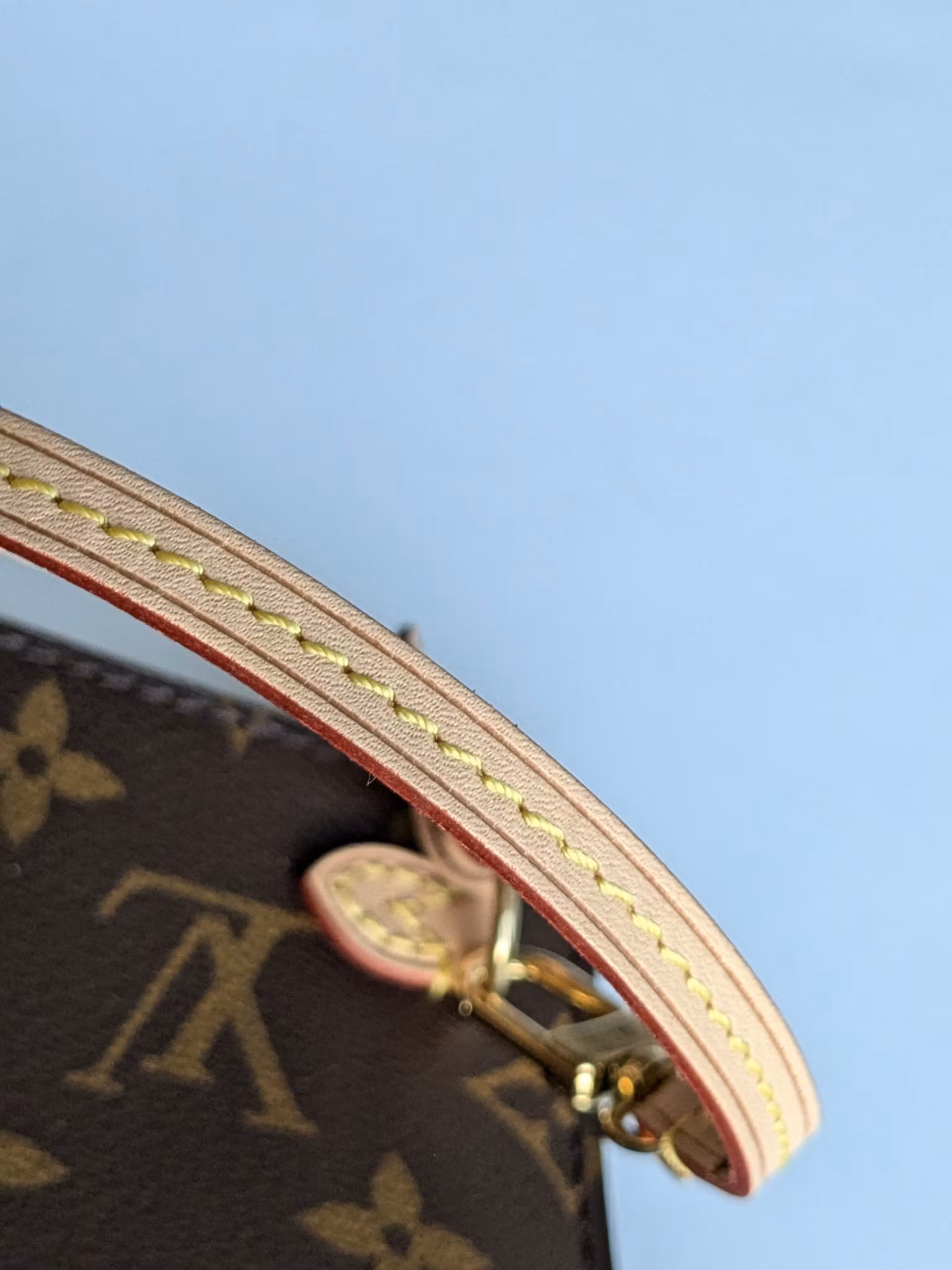 Louis Vuitton Neverfull MM pochette