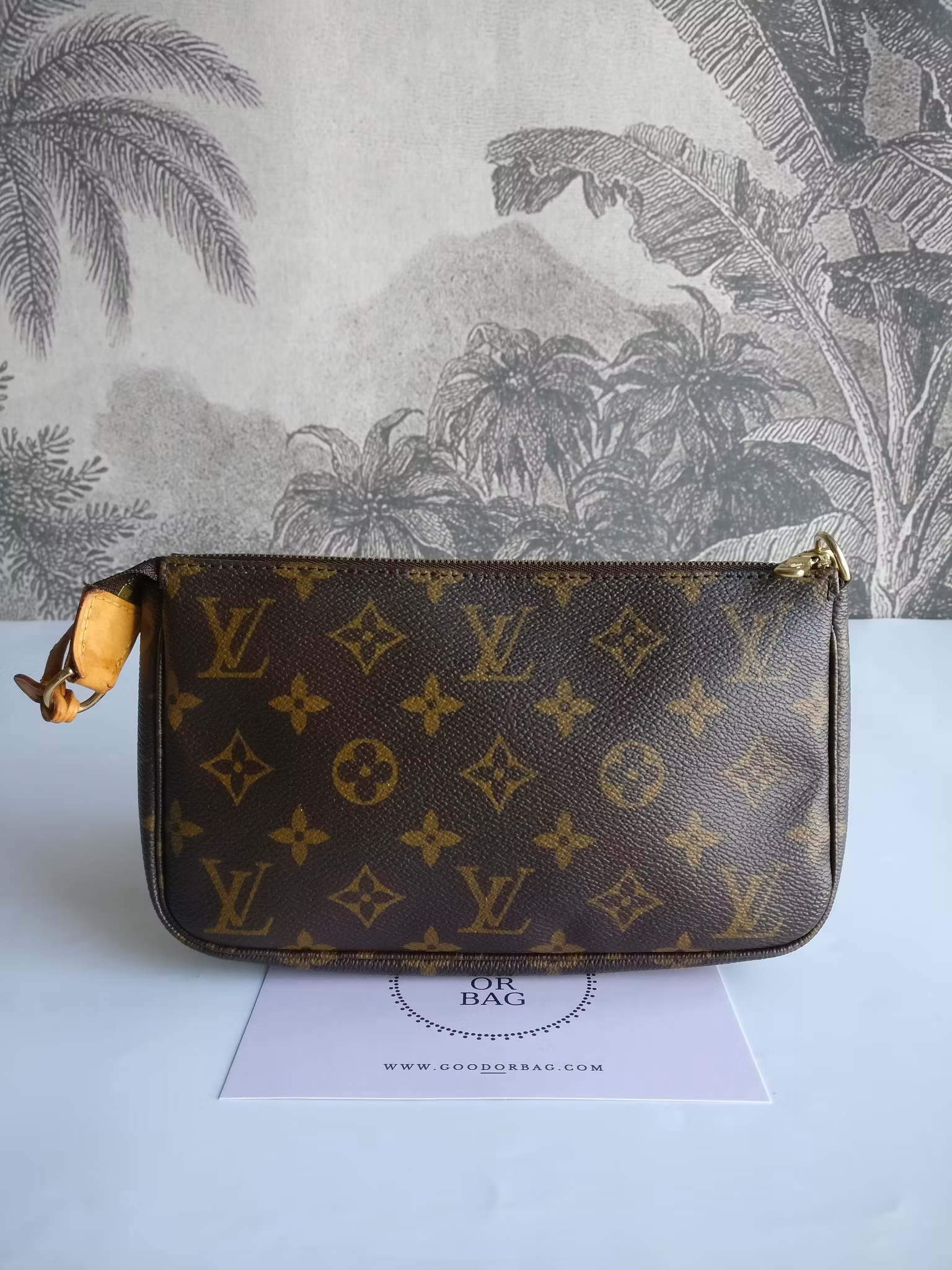 Louis Vuitton Pochette Accessoires