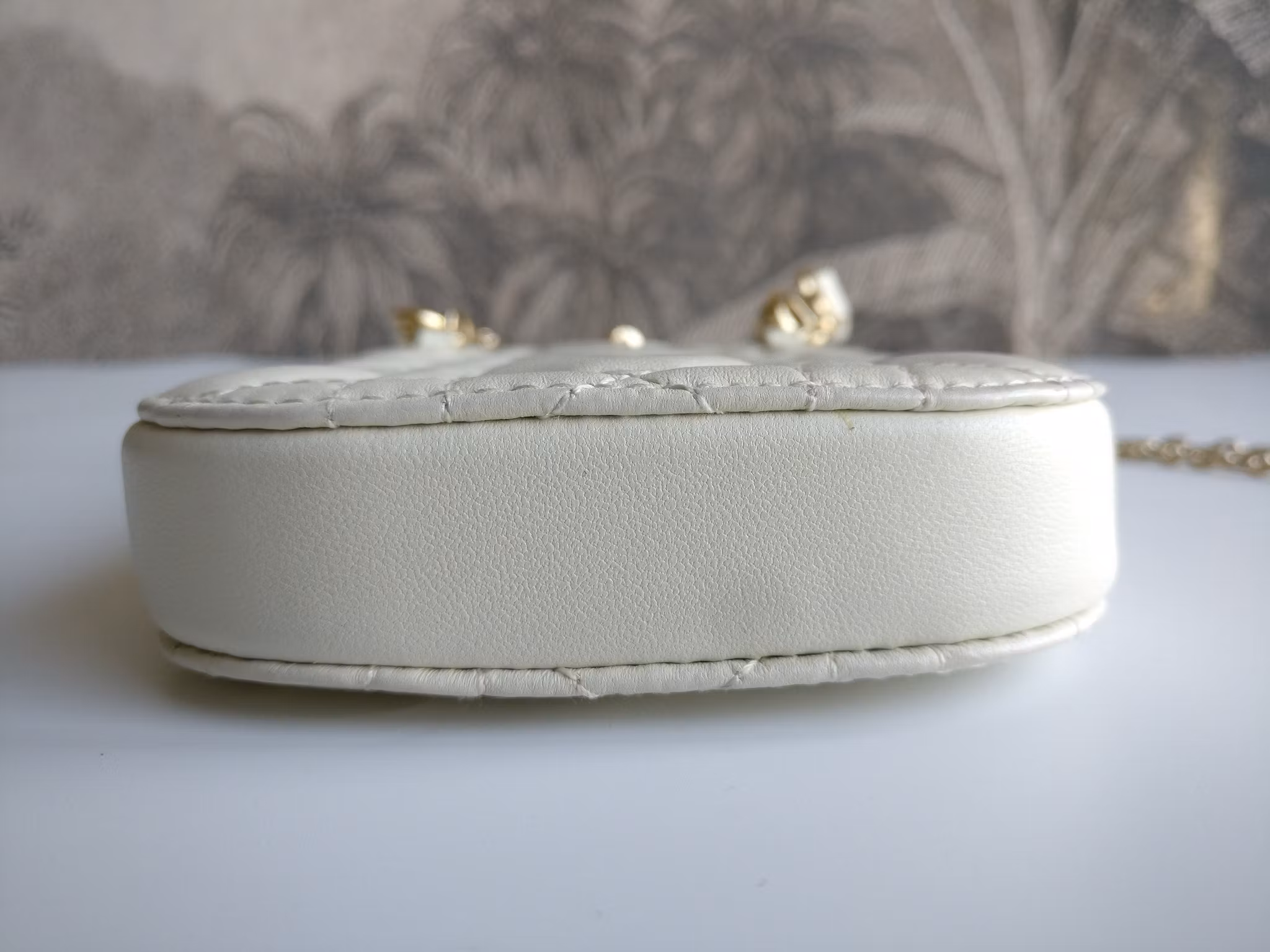 Lady Dior Callin' phone holder bag