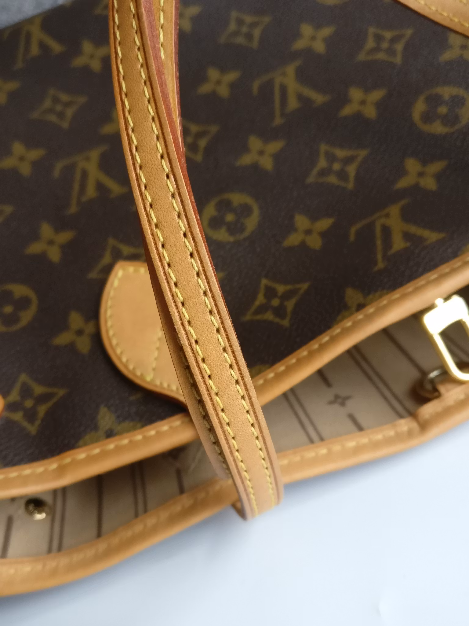 Louis Vuitton Neverfull PM