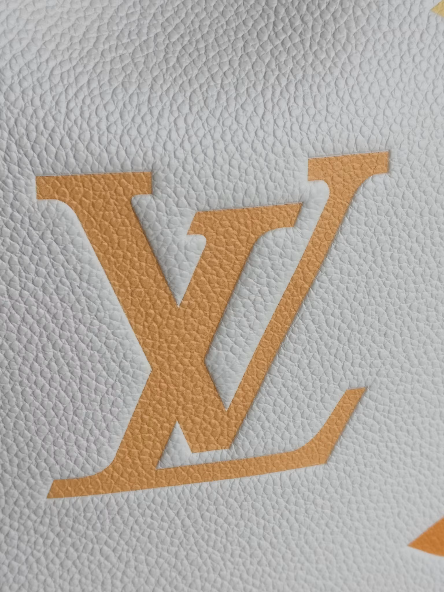 Louis Vuitton LV Summer Bundle 2 way