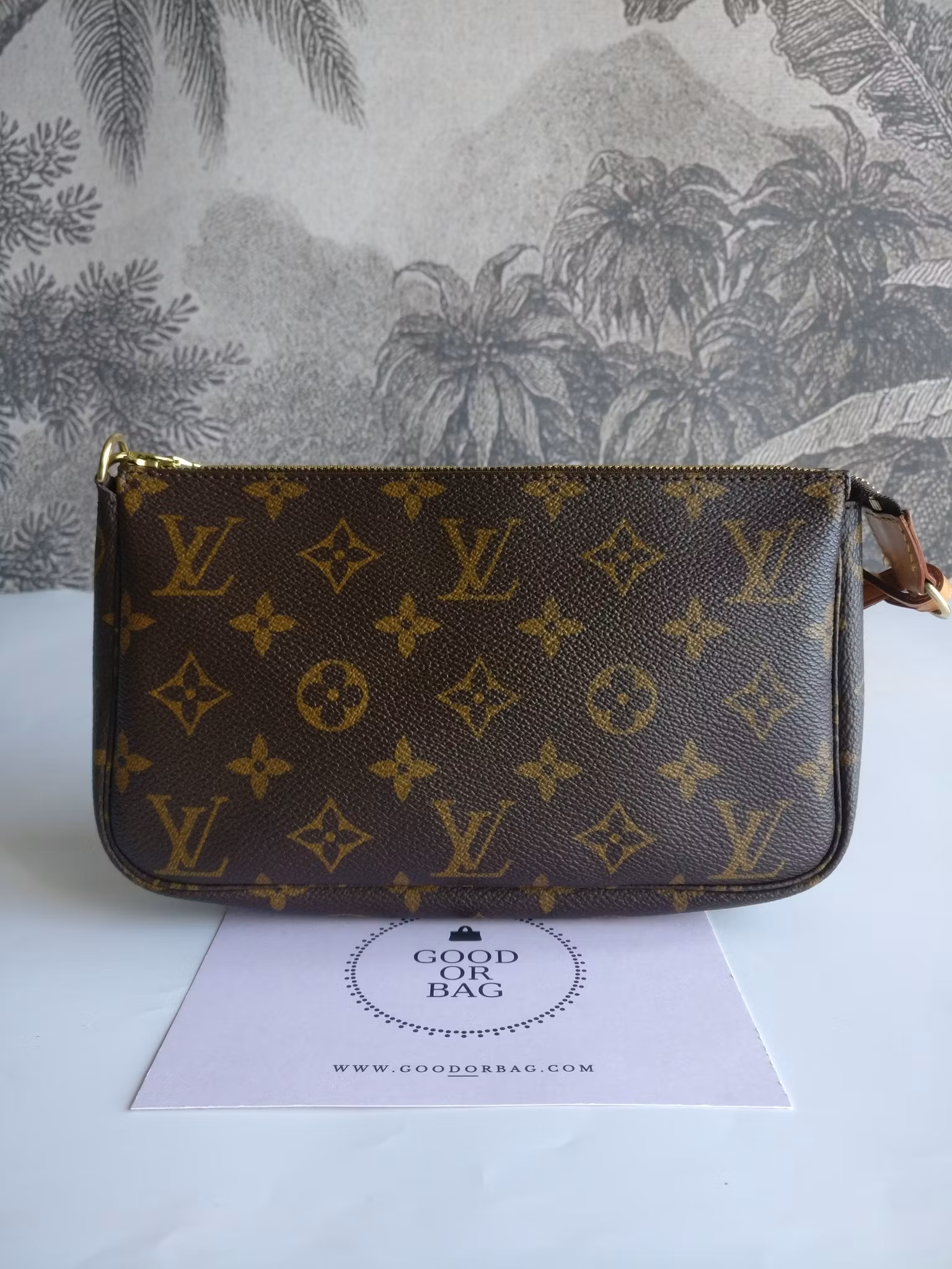 Louis Vuitton Pochette Accessoires
