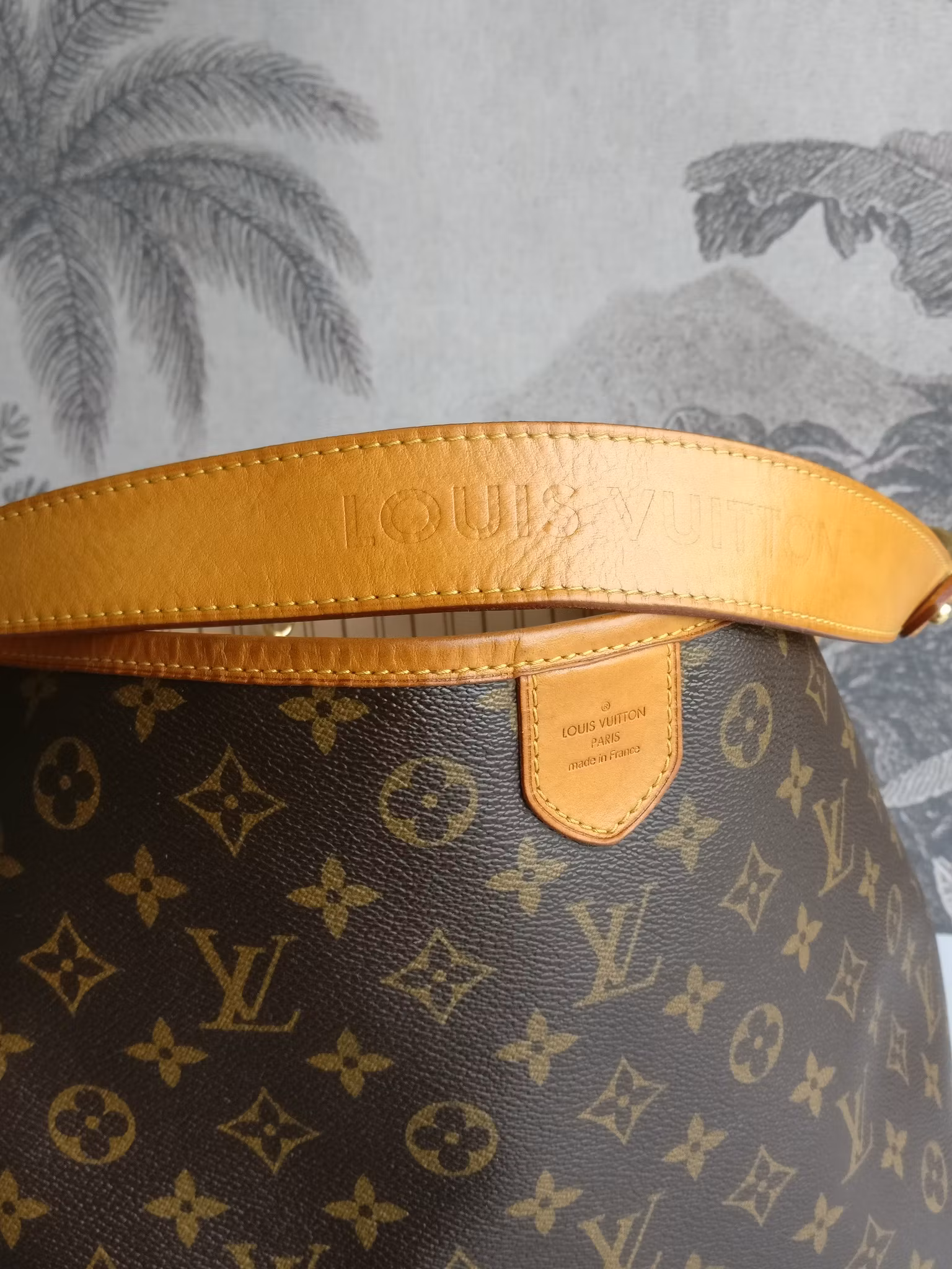 Louis Vuitton Delightful MM