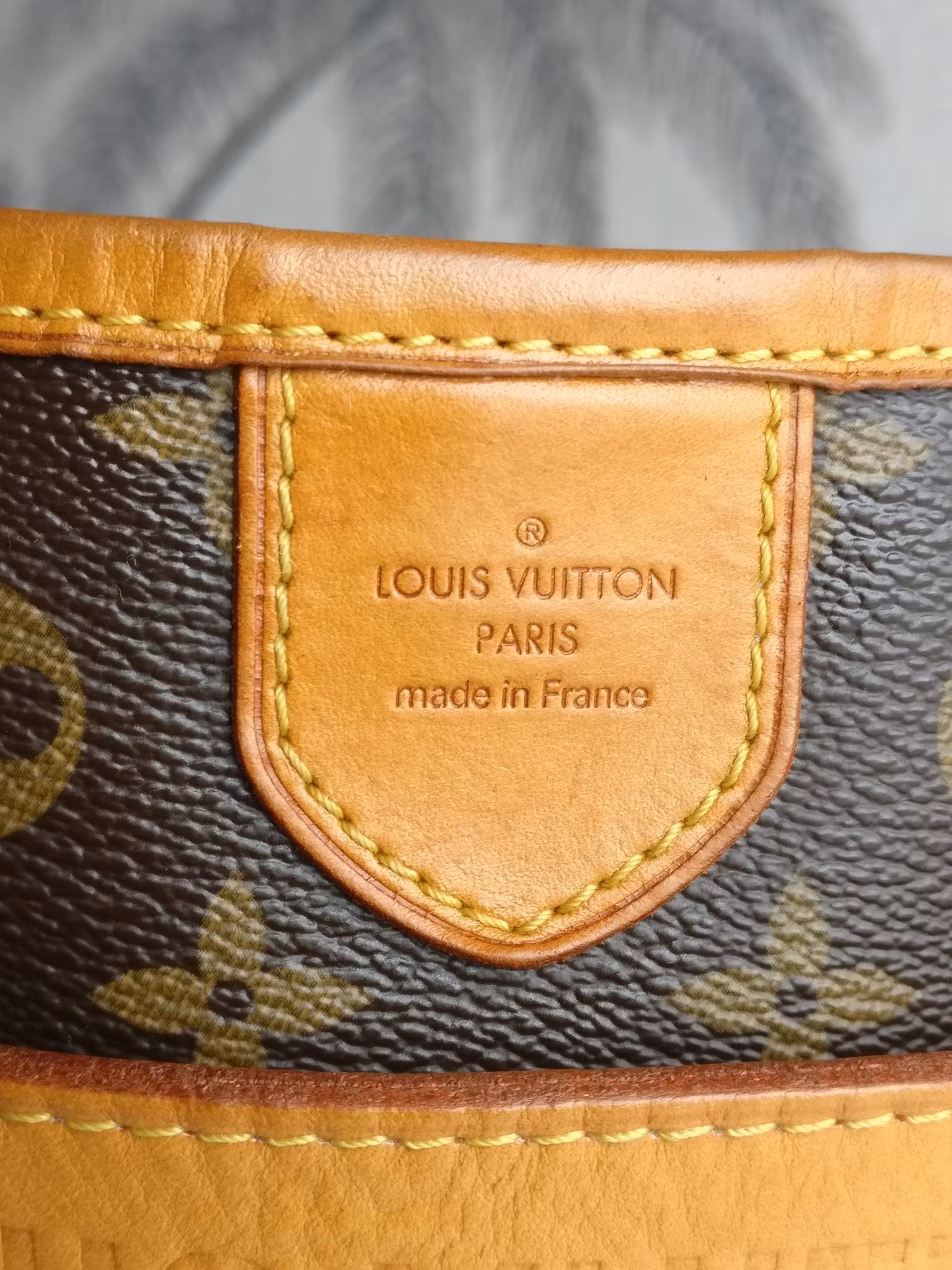 Louis Vuitton Delightful MM
