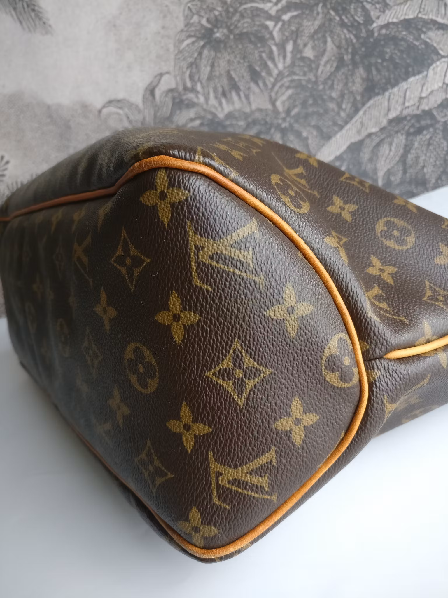 Louis Vuitton Delightful MM