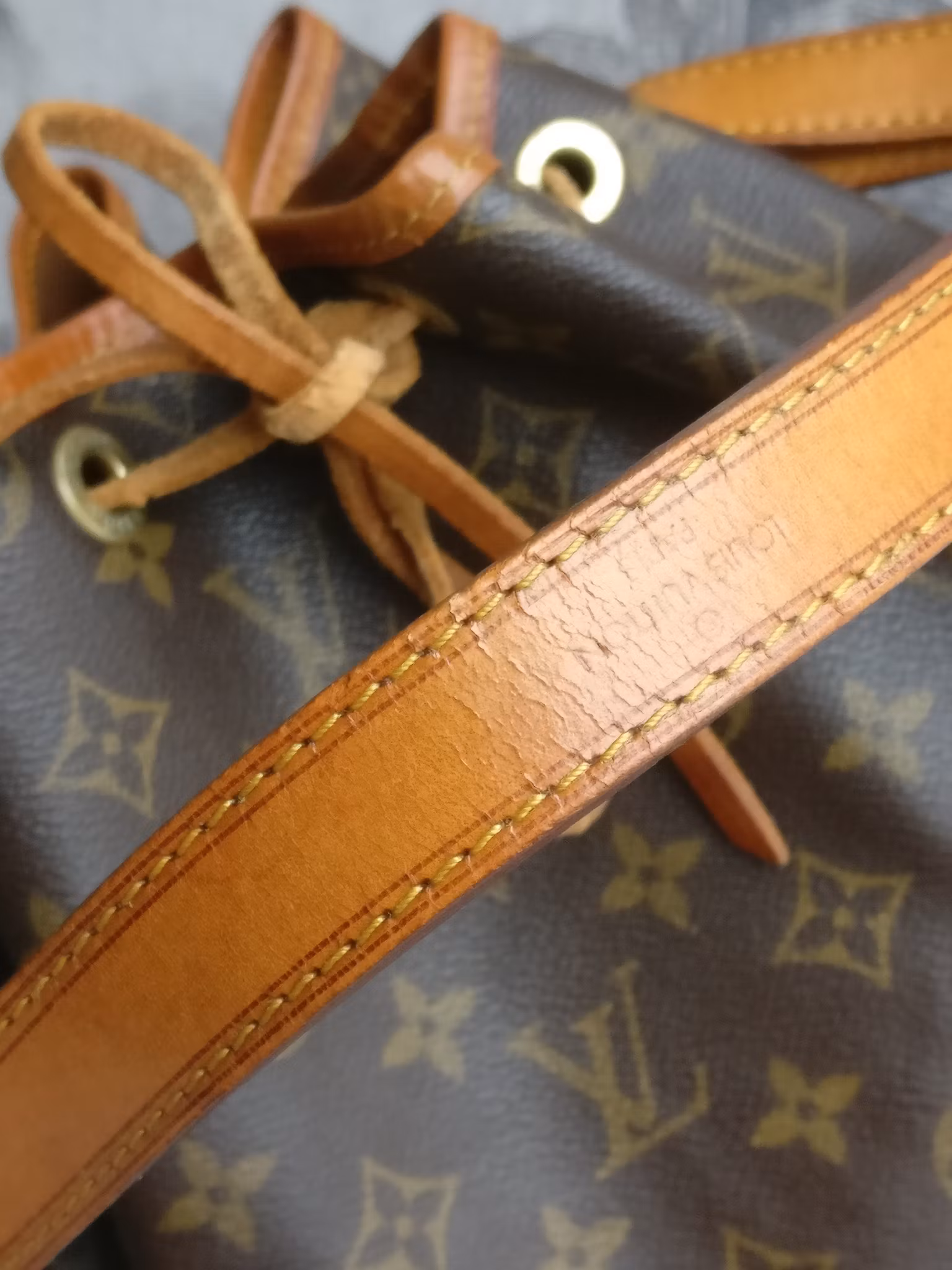 Louis Vuitton Noé GM