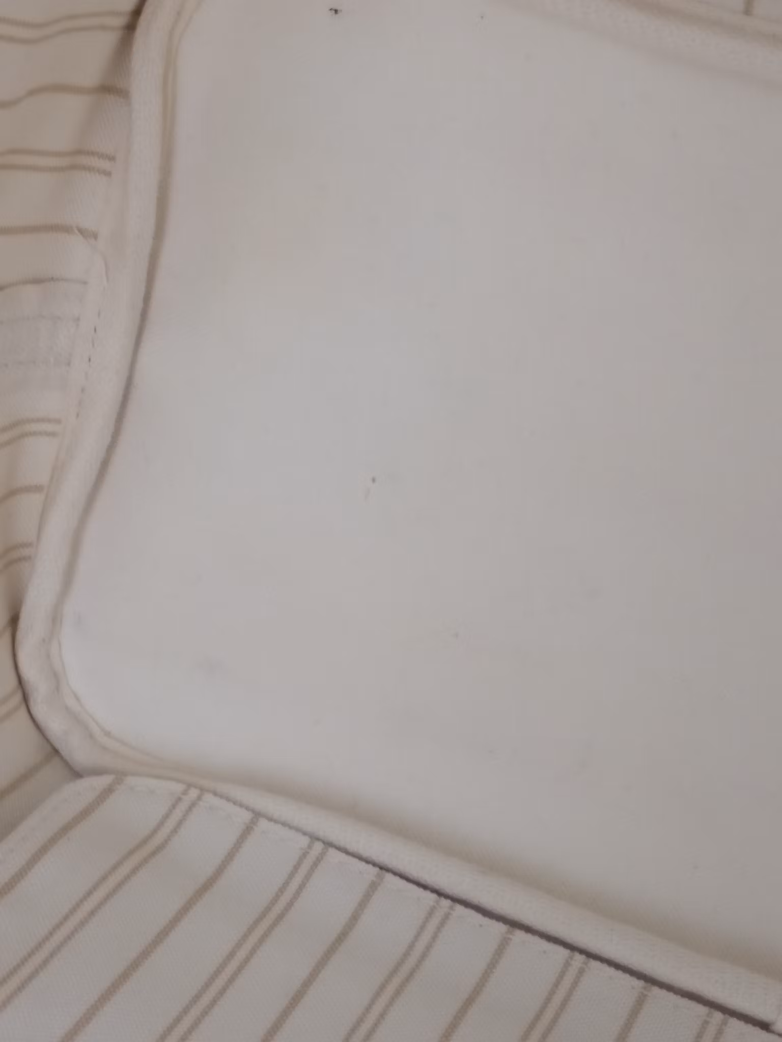 Louis Vuitton Neverfull MM damier azur