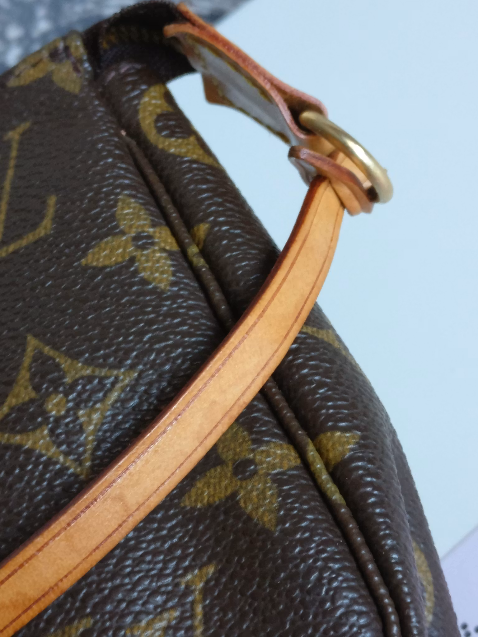 Louis Vuitton Pochette Accessoires