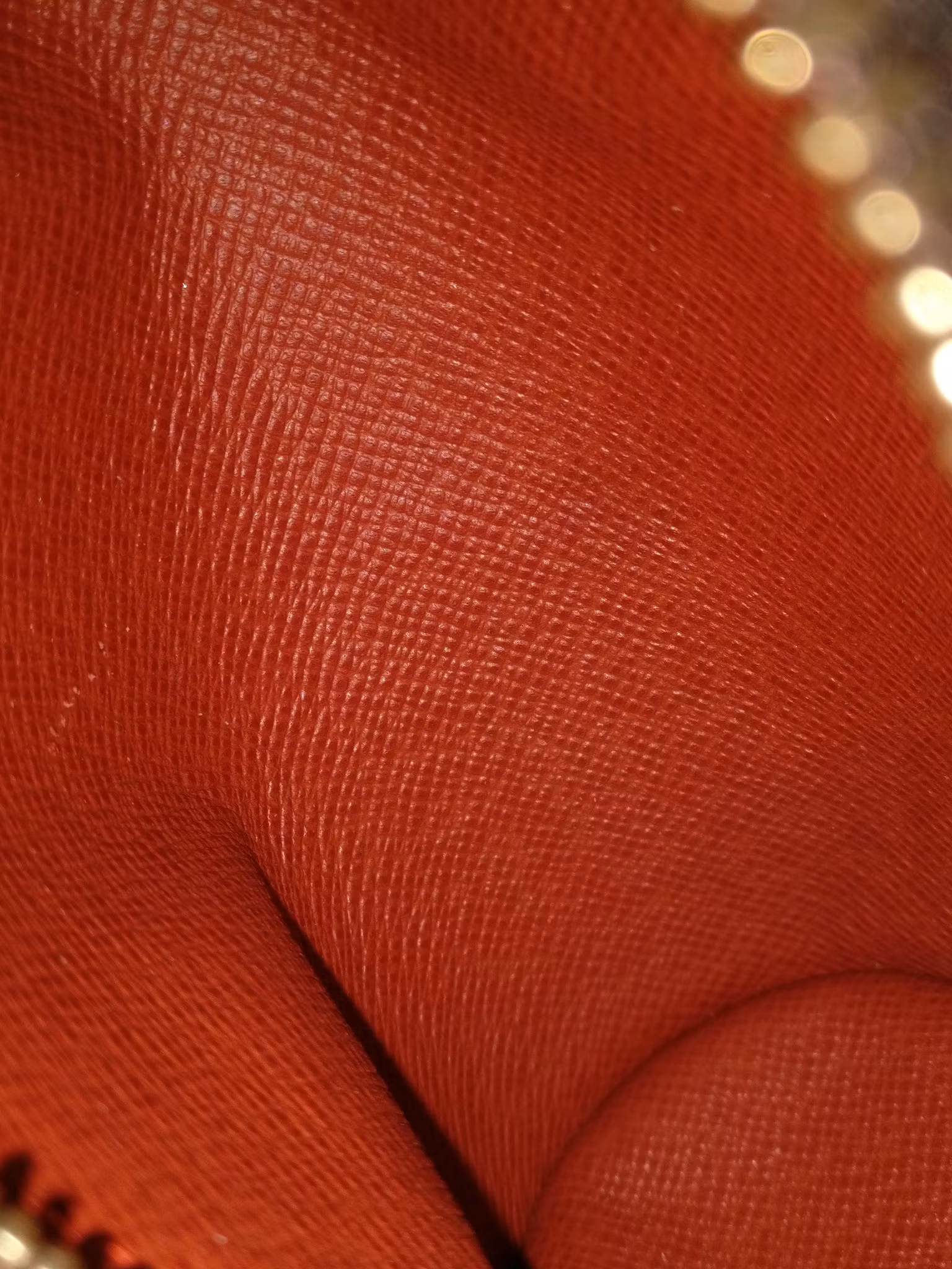 Louis Vuitton Papillon pochette