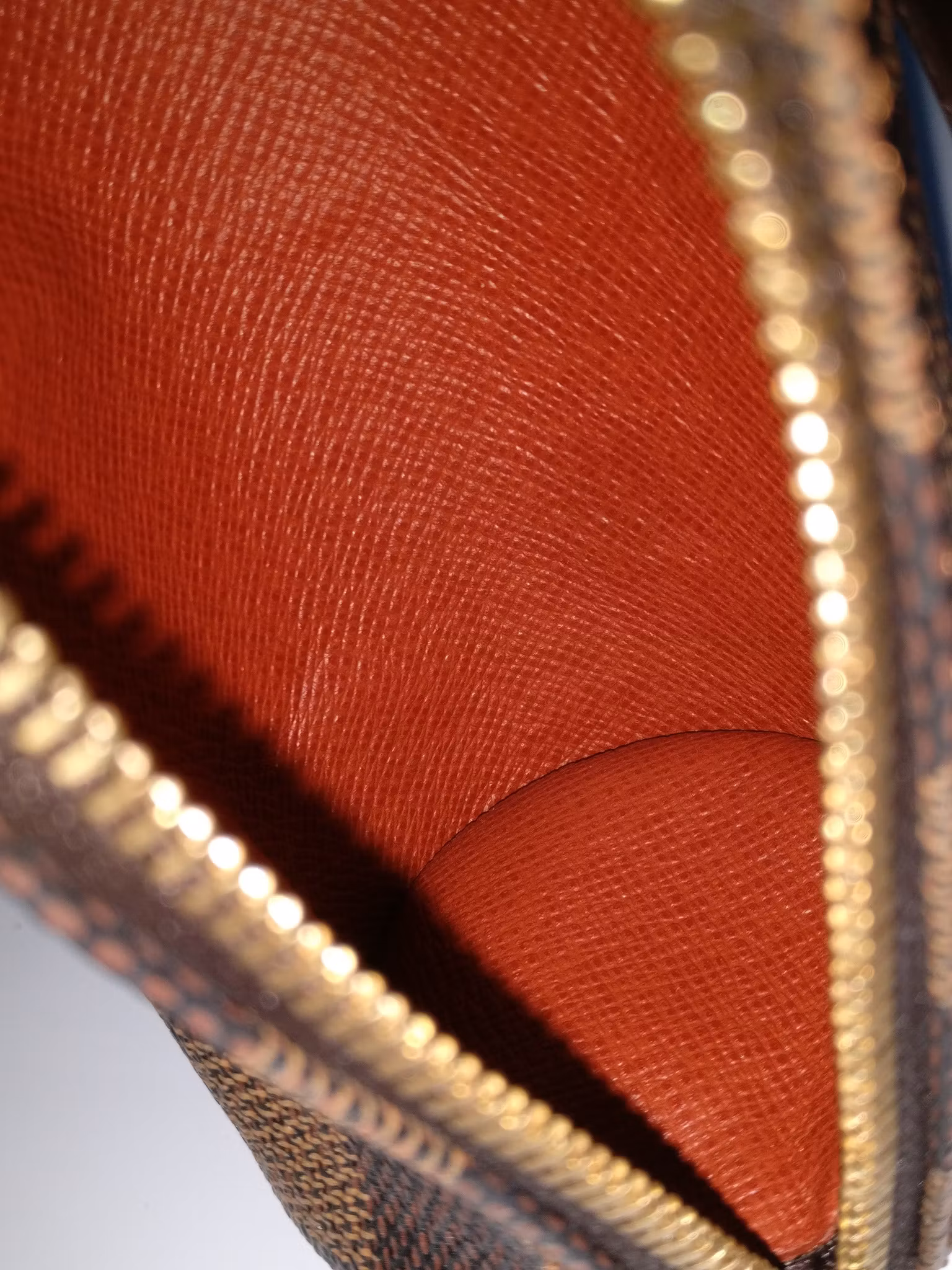 Louis Vuitton Papillon pochette