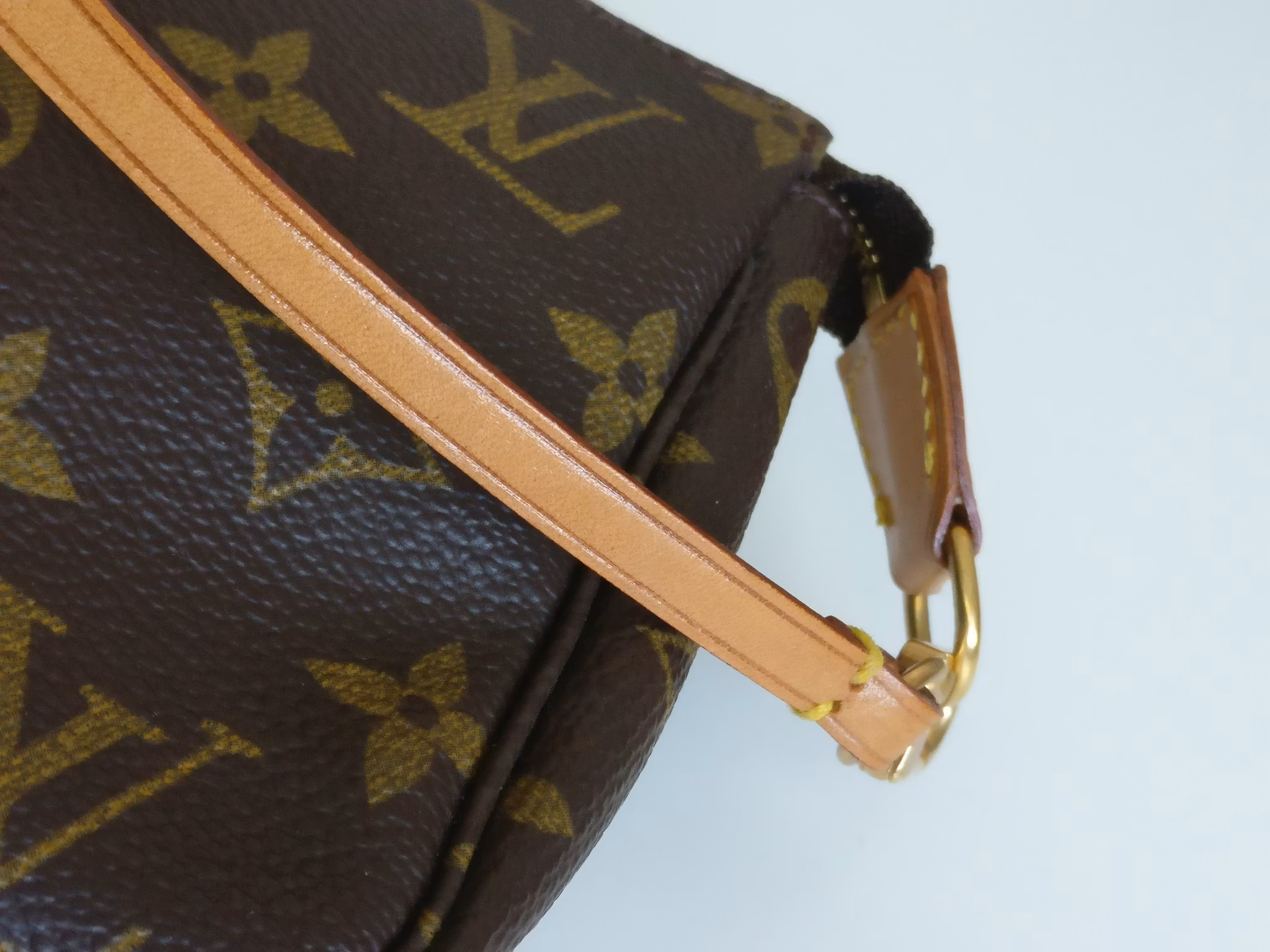 Louis Vuitton Pochette Accessoires