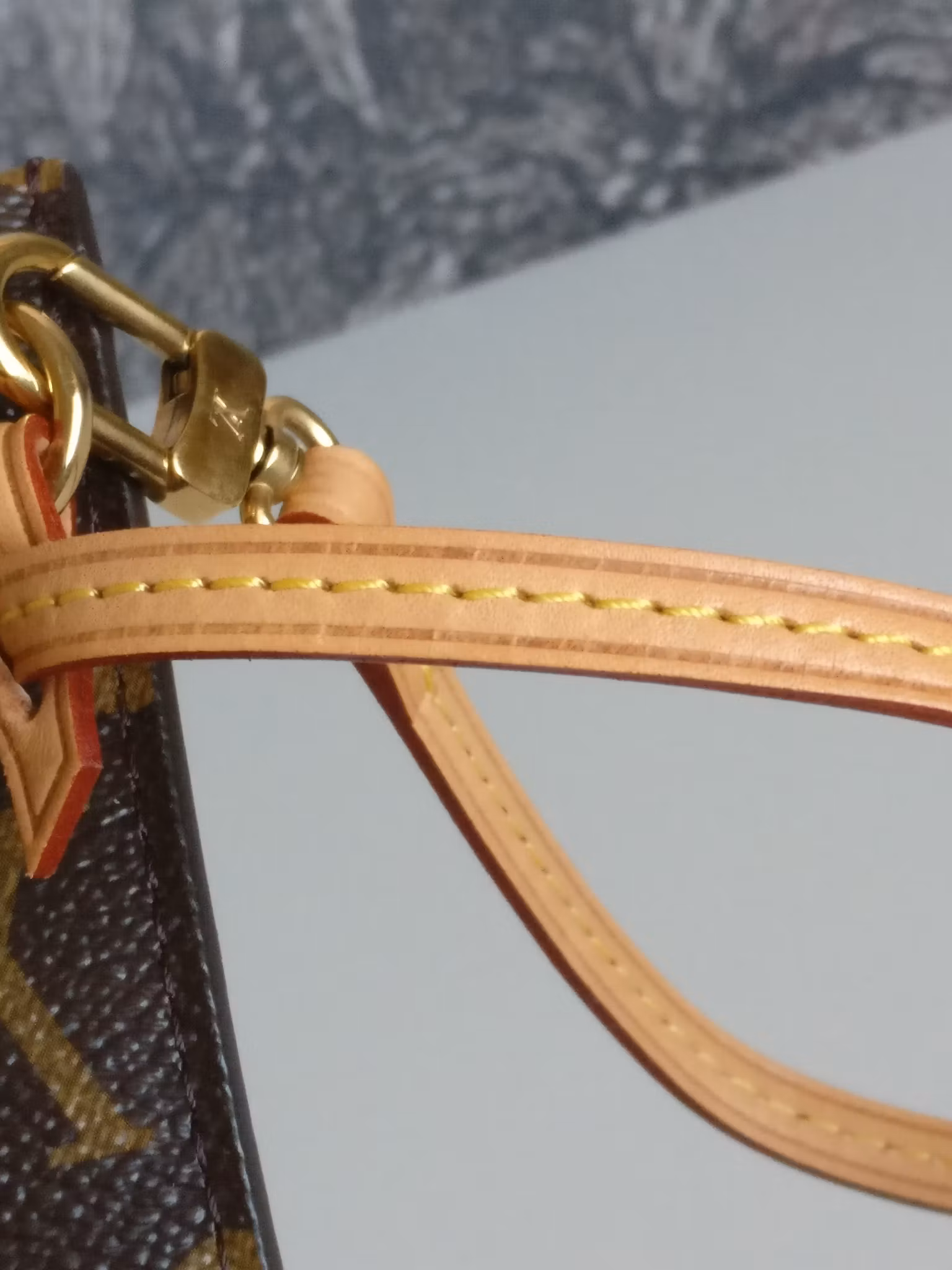 Louis Vuitton Neverfull PM pochette