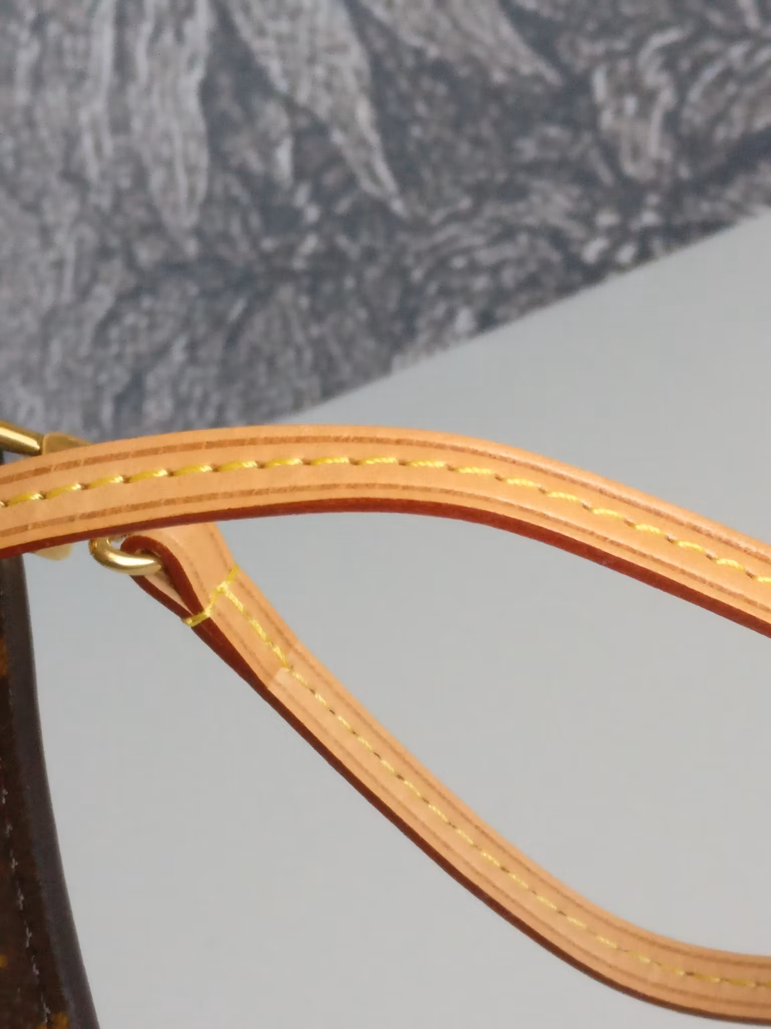 Louis Vuitton Neverfull PM pochette