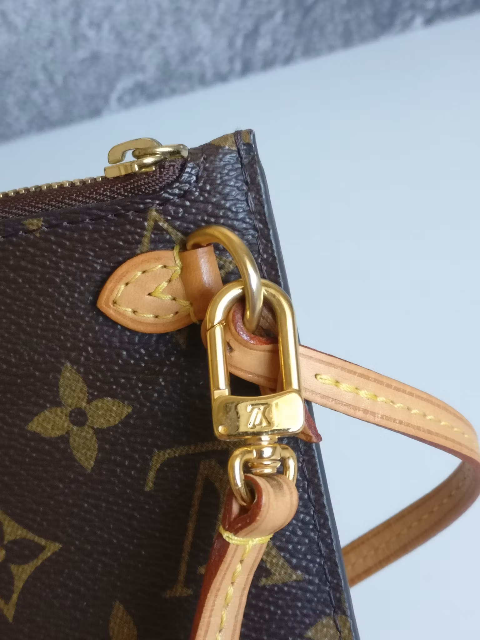 Louis Vuitton Neverfull PM pouch