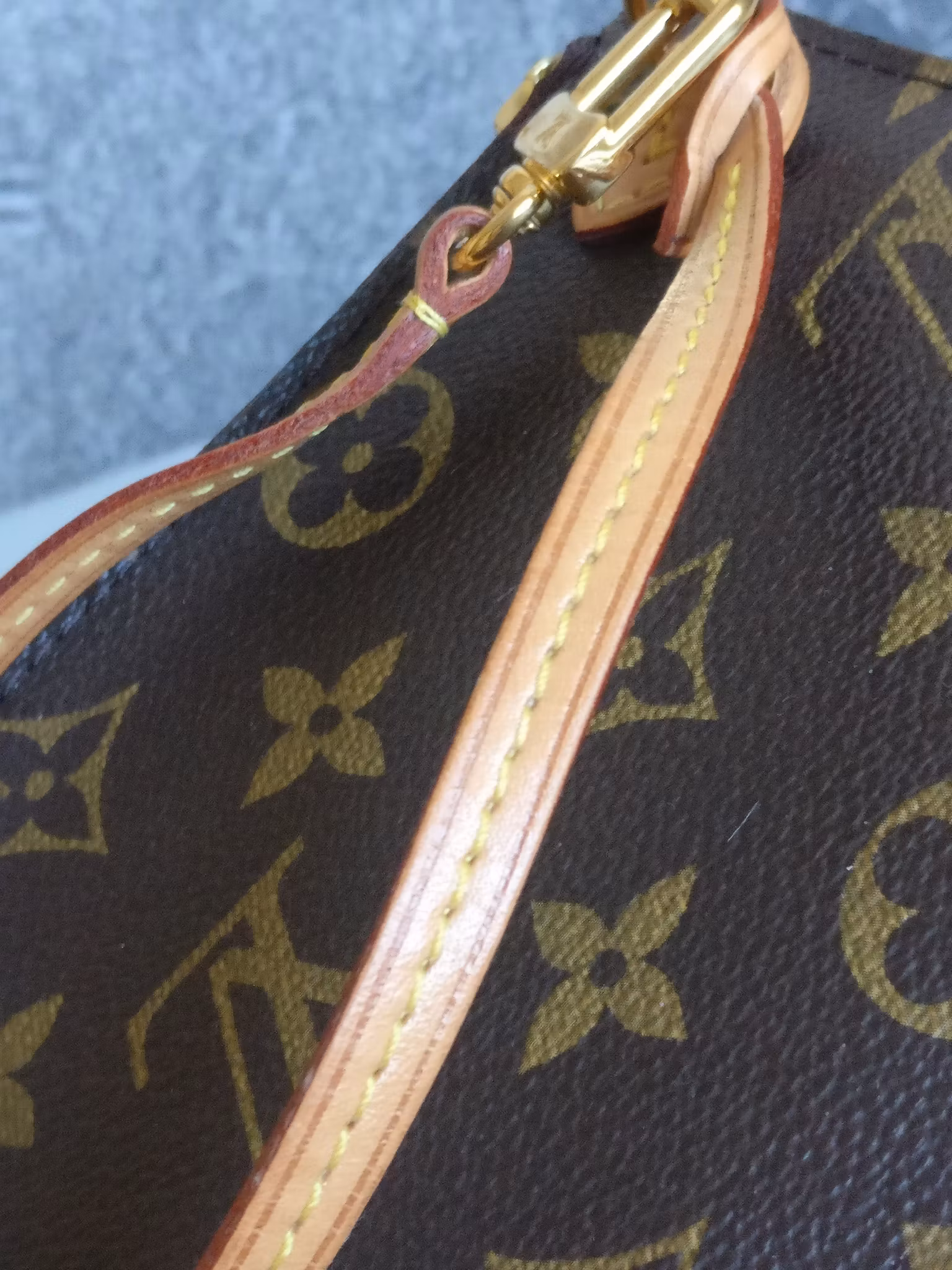 Louis Vuitton Neverfull PM pouch