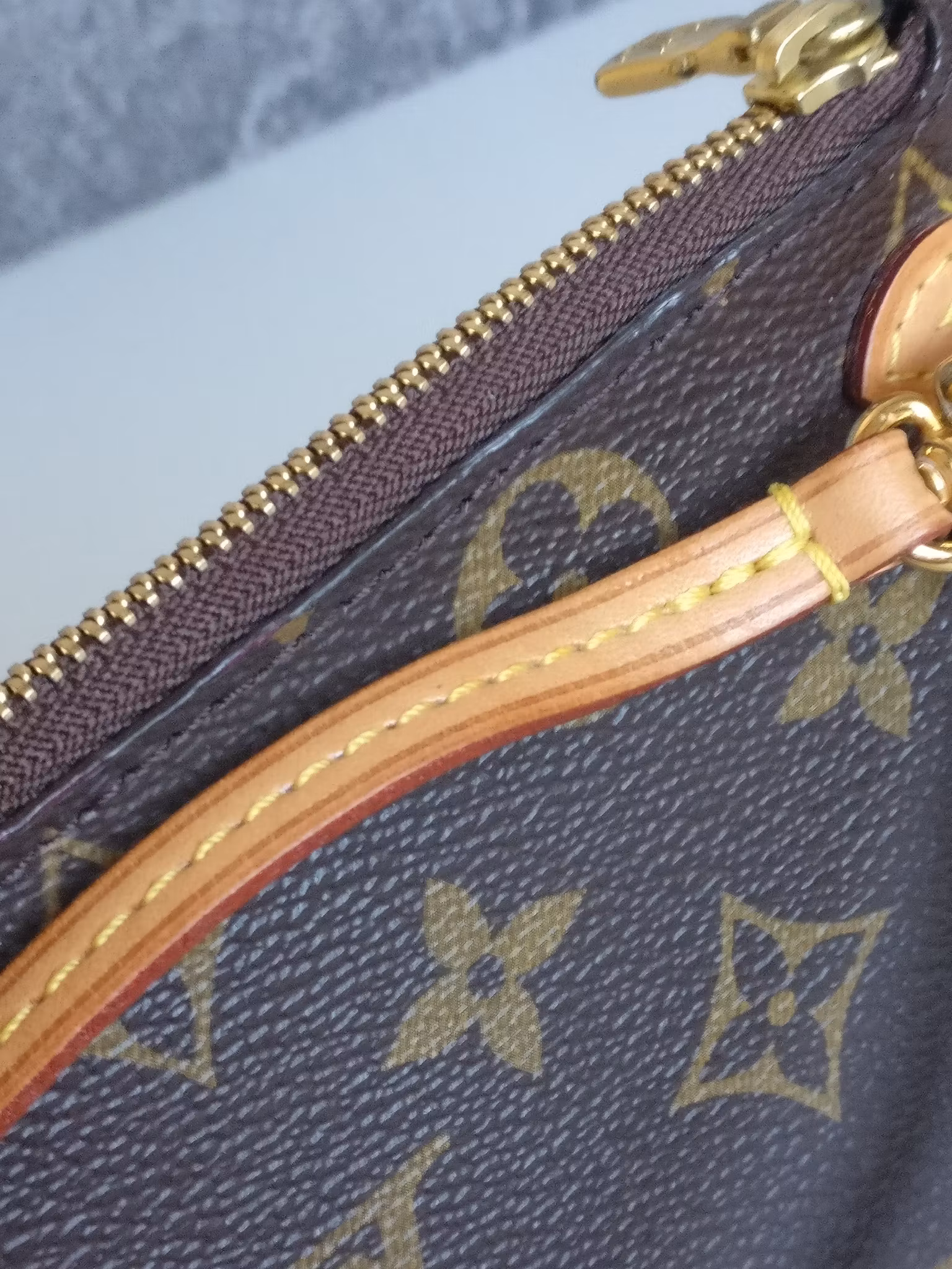 Louis Vuitton Neverfull PM pouch
