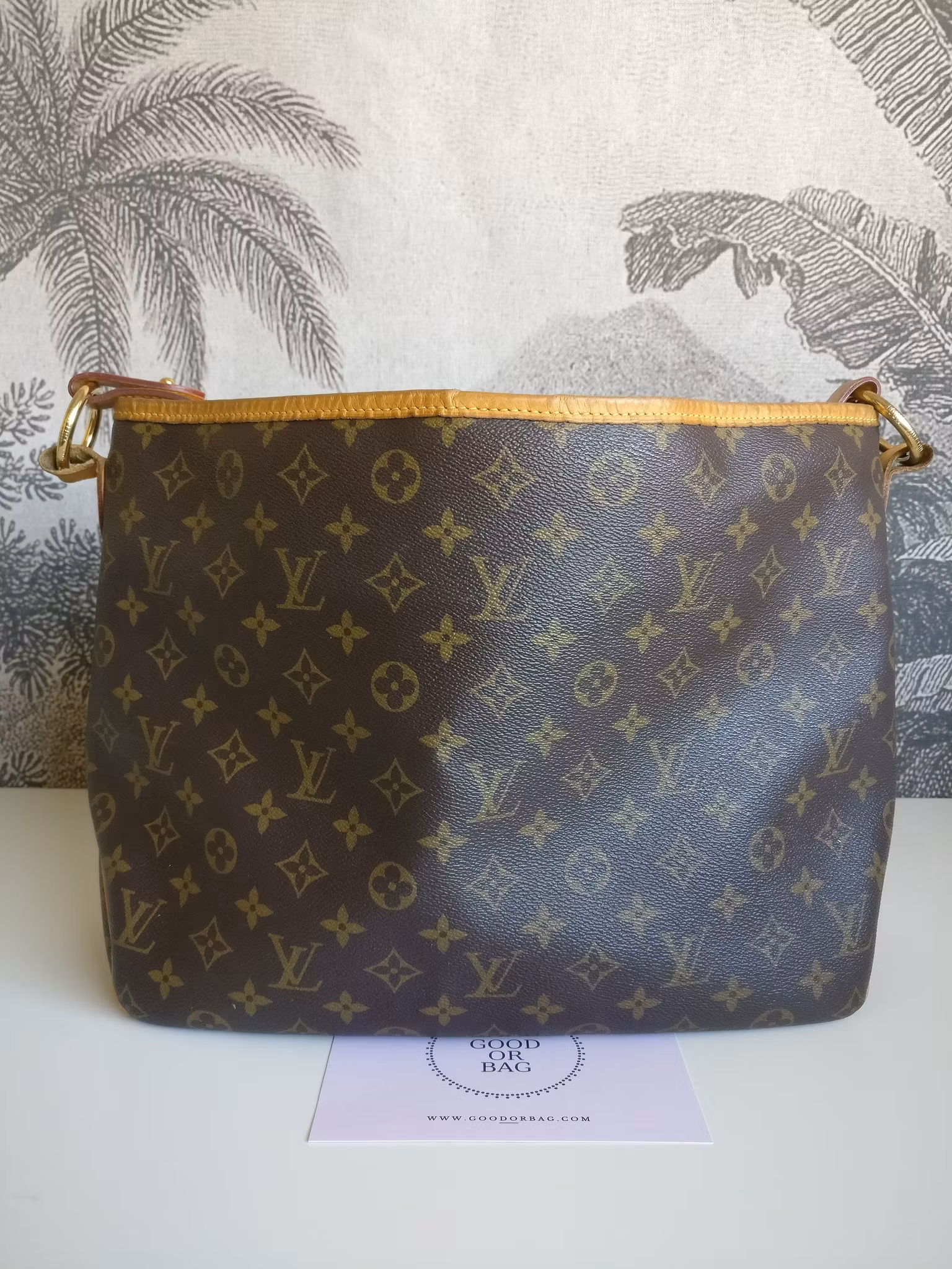 Louis Vuitton Delightful MM monogram