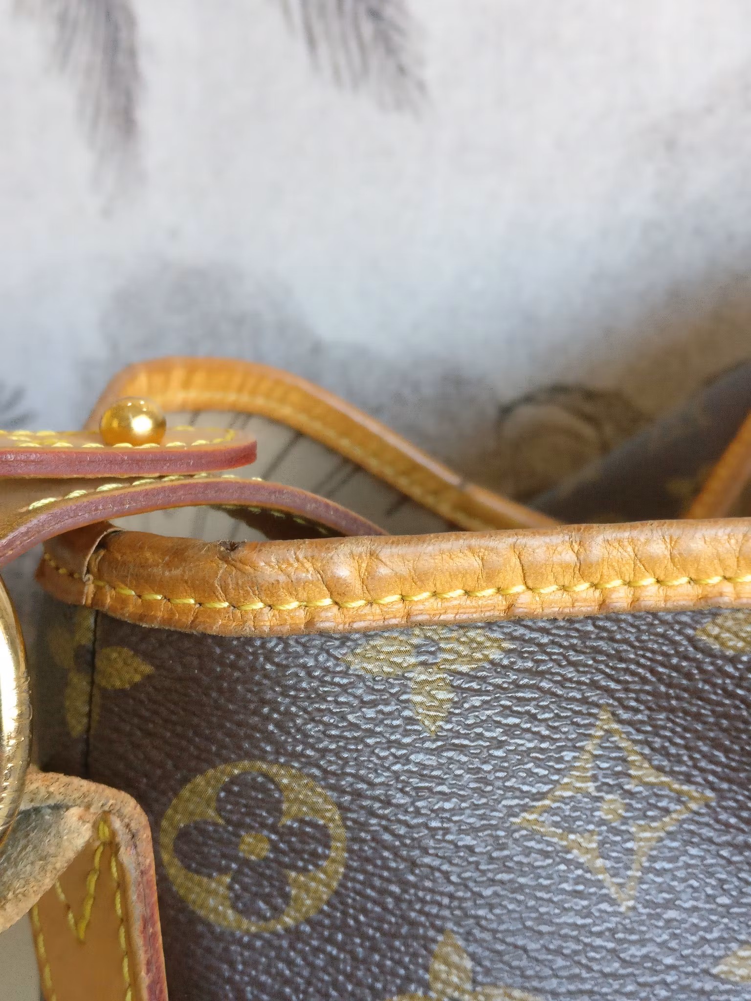 Louis Vuitton Delightful MM monogram