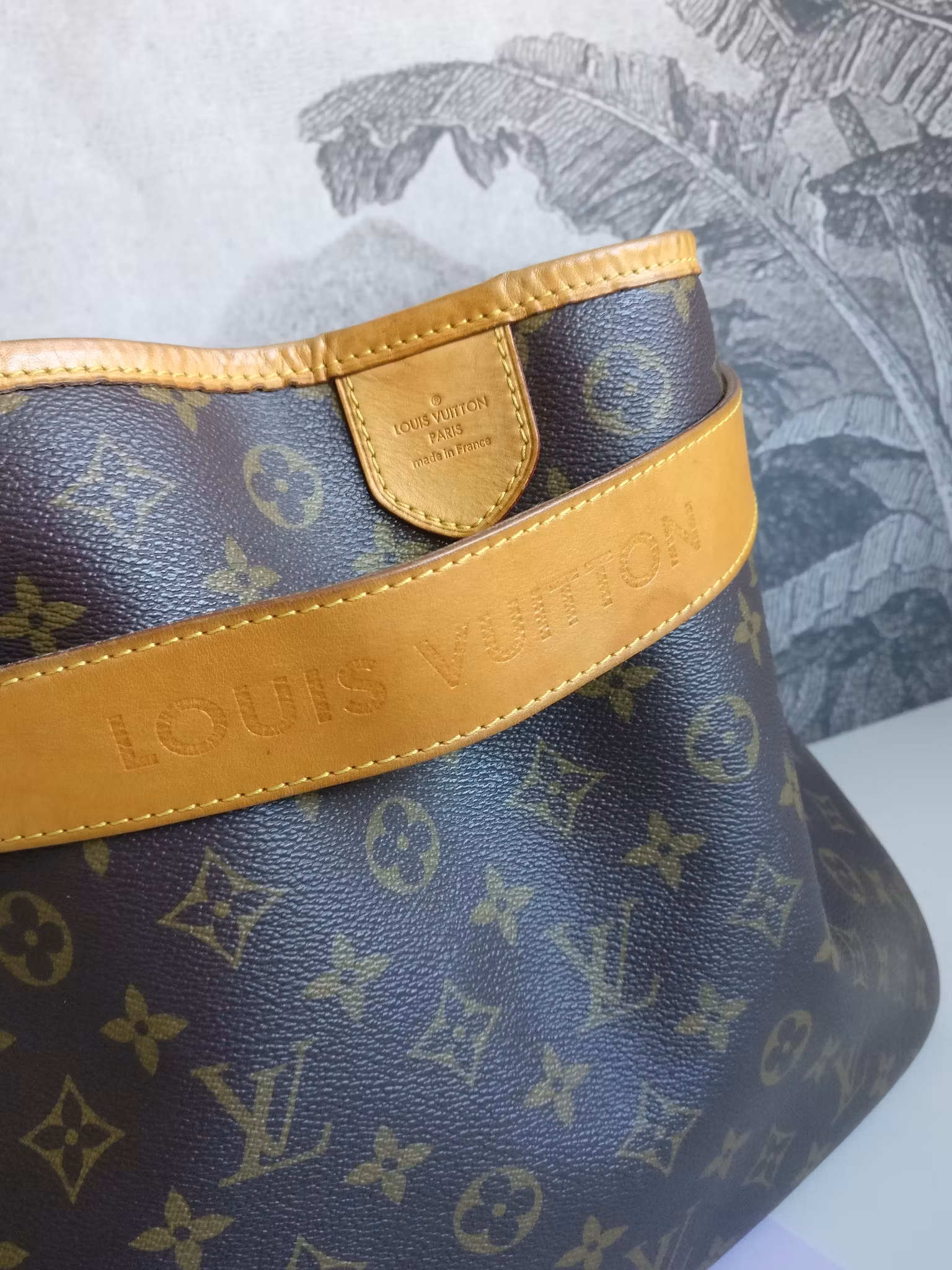 Louis Vuitton Delightful MM monogram