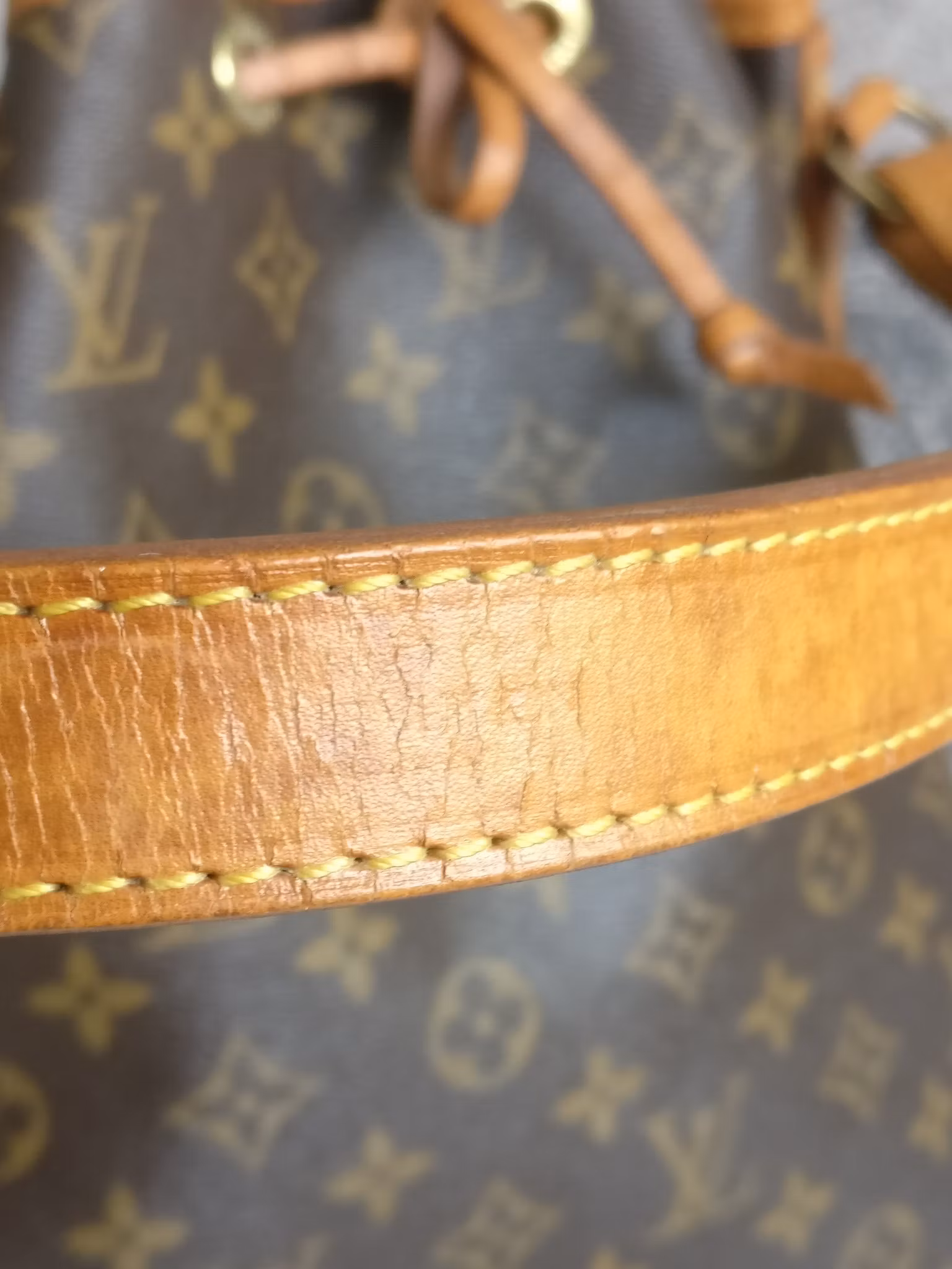 Louis Vuitton Noé GM