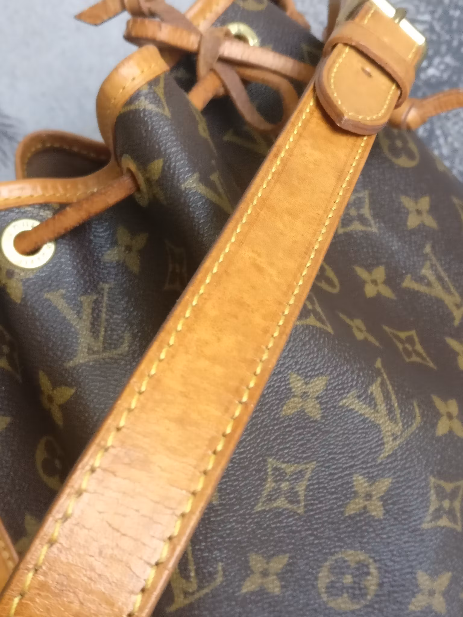 Louis Vuitton Noé GM