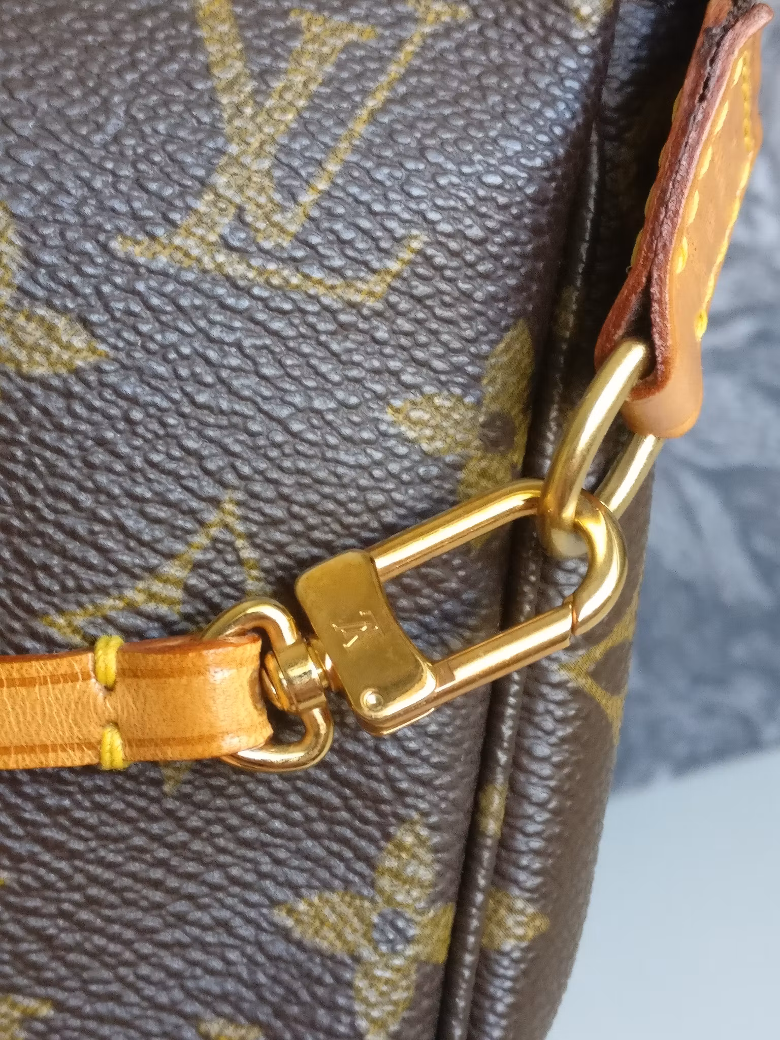 Louis Vuitton Pochette Accessoires