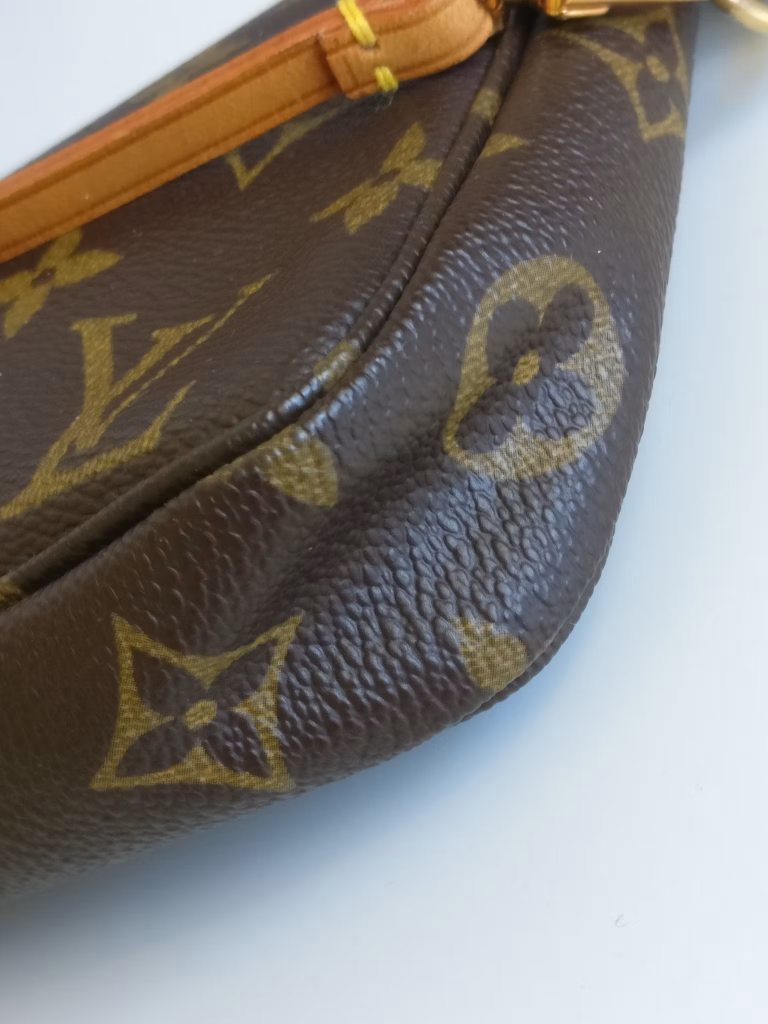 Louis Vuitton Pochette Accessoires