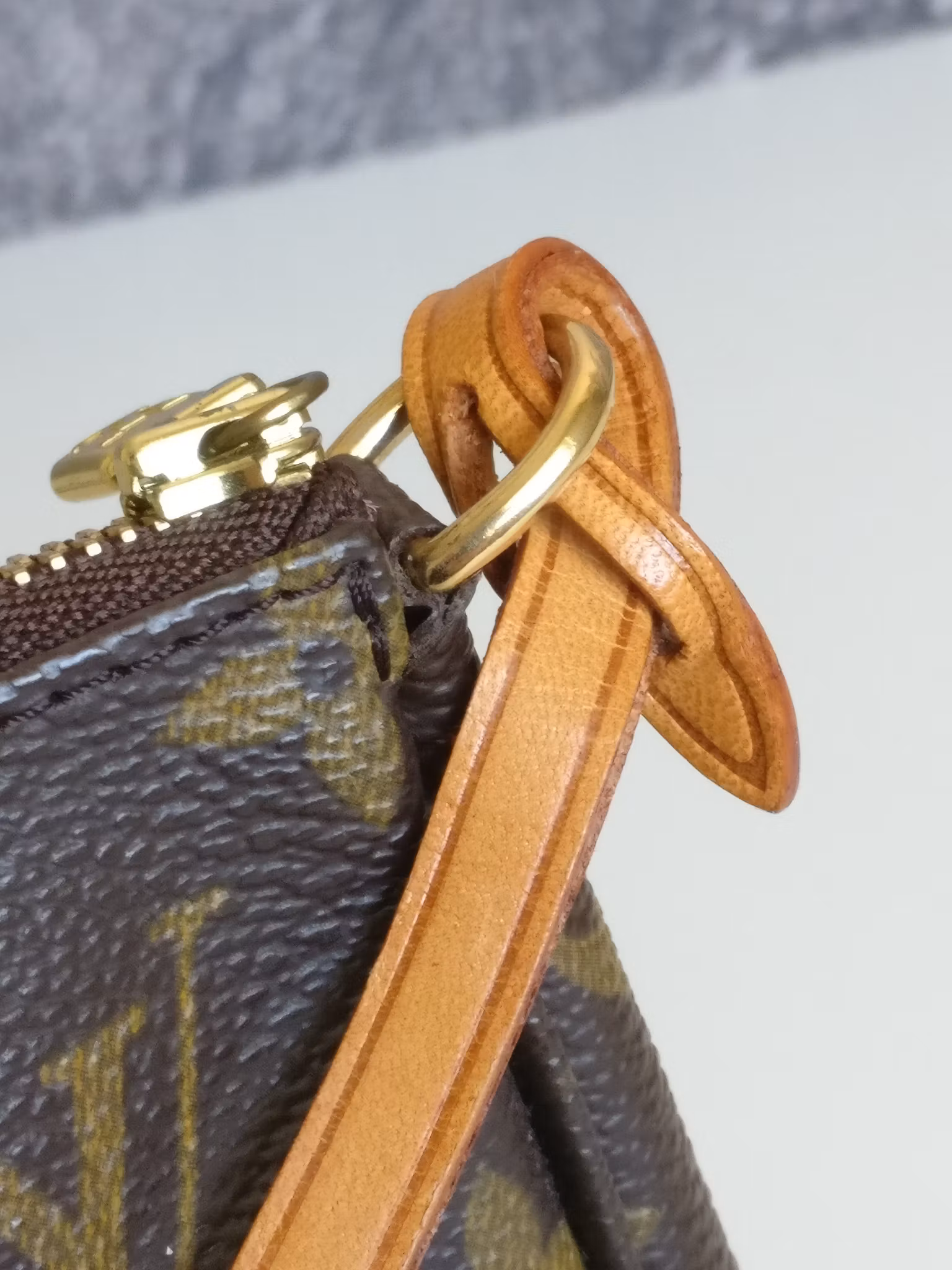 Louis Vuitton Pochette Accessoires