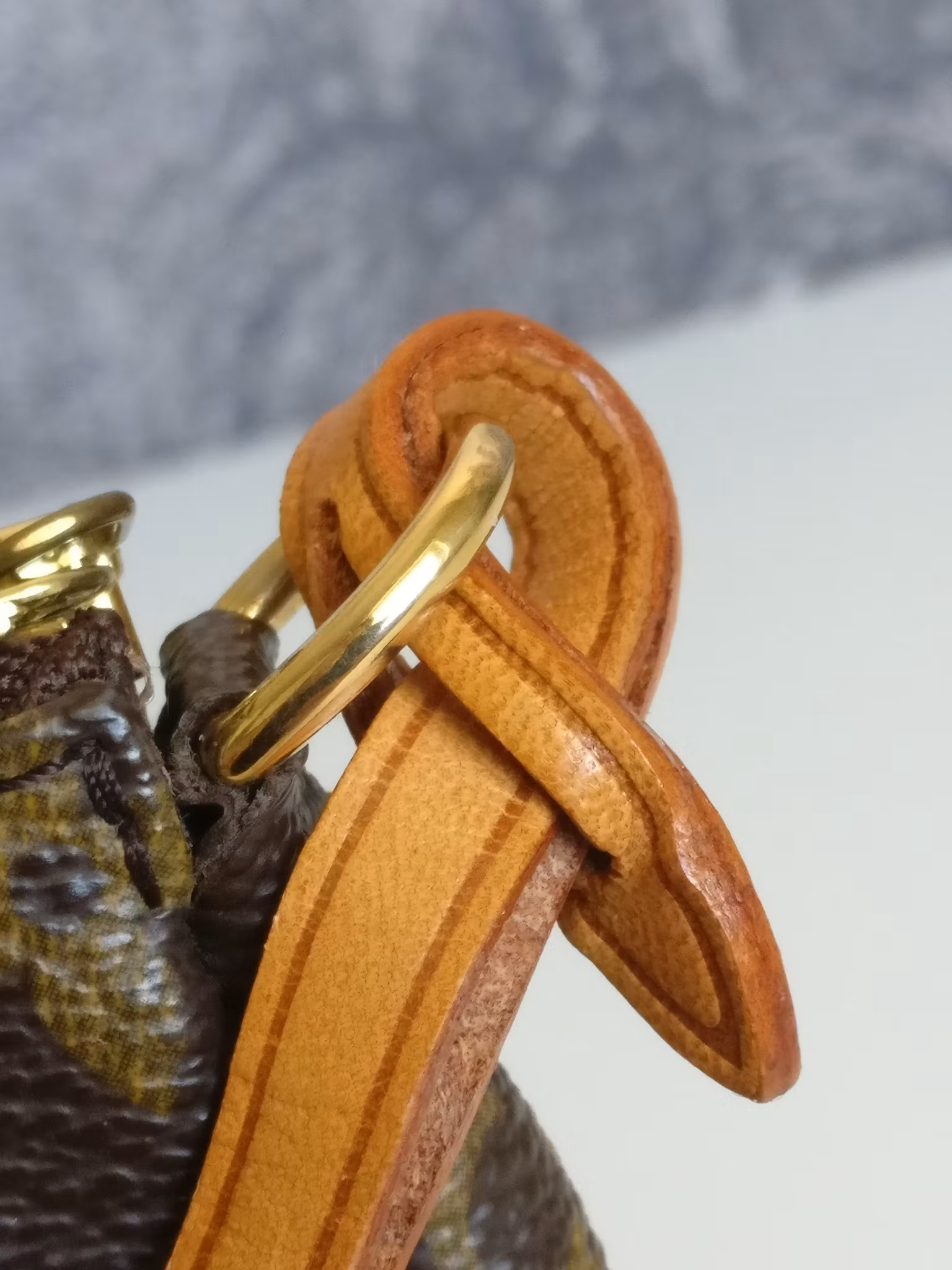 Louis Vuitton Pochette Accessoires