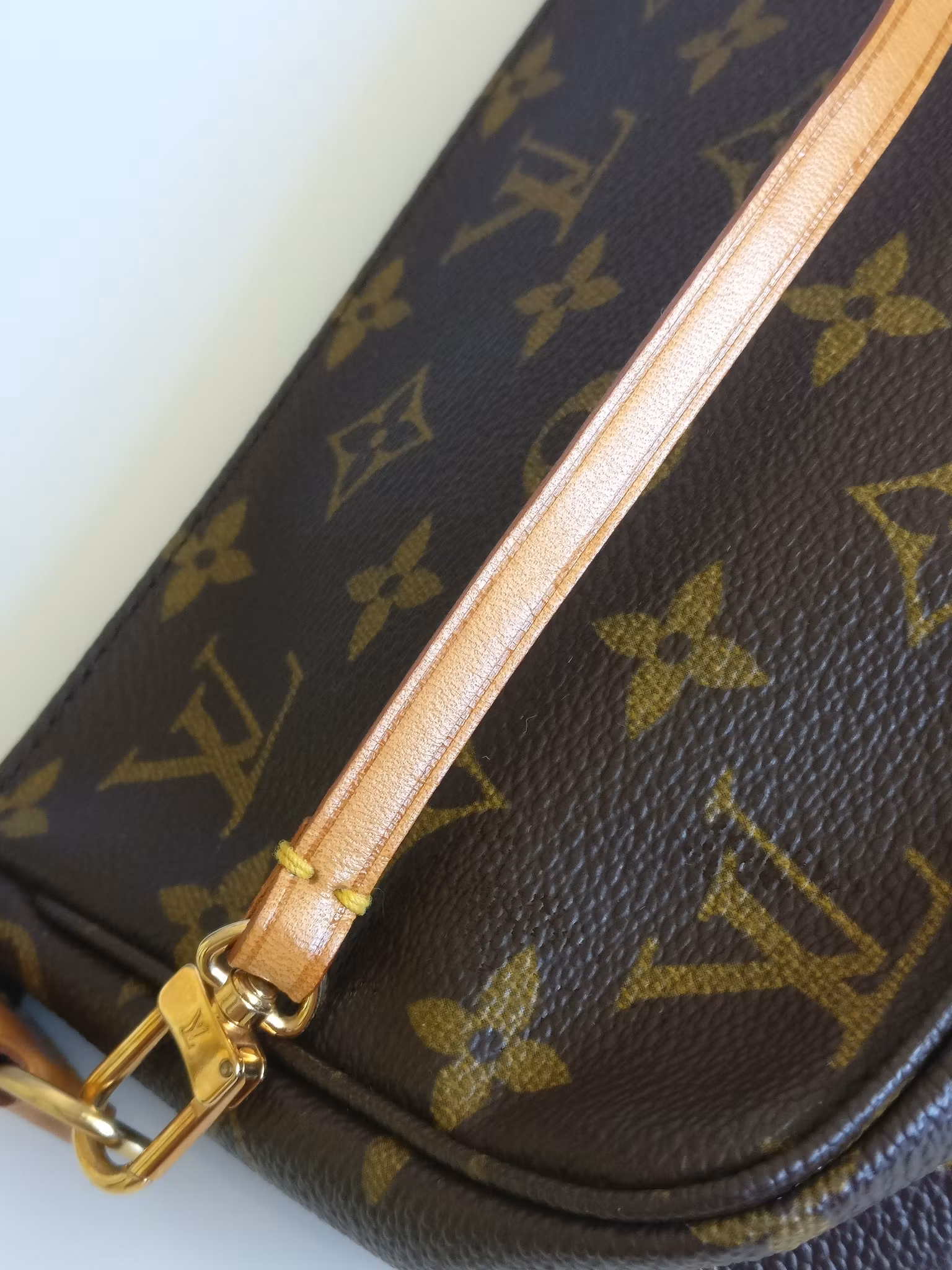 Louis Vuitton Pochette Accessoires