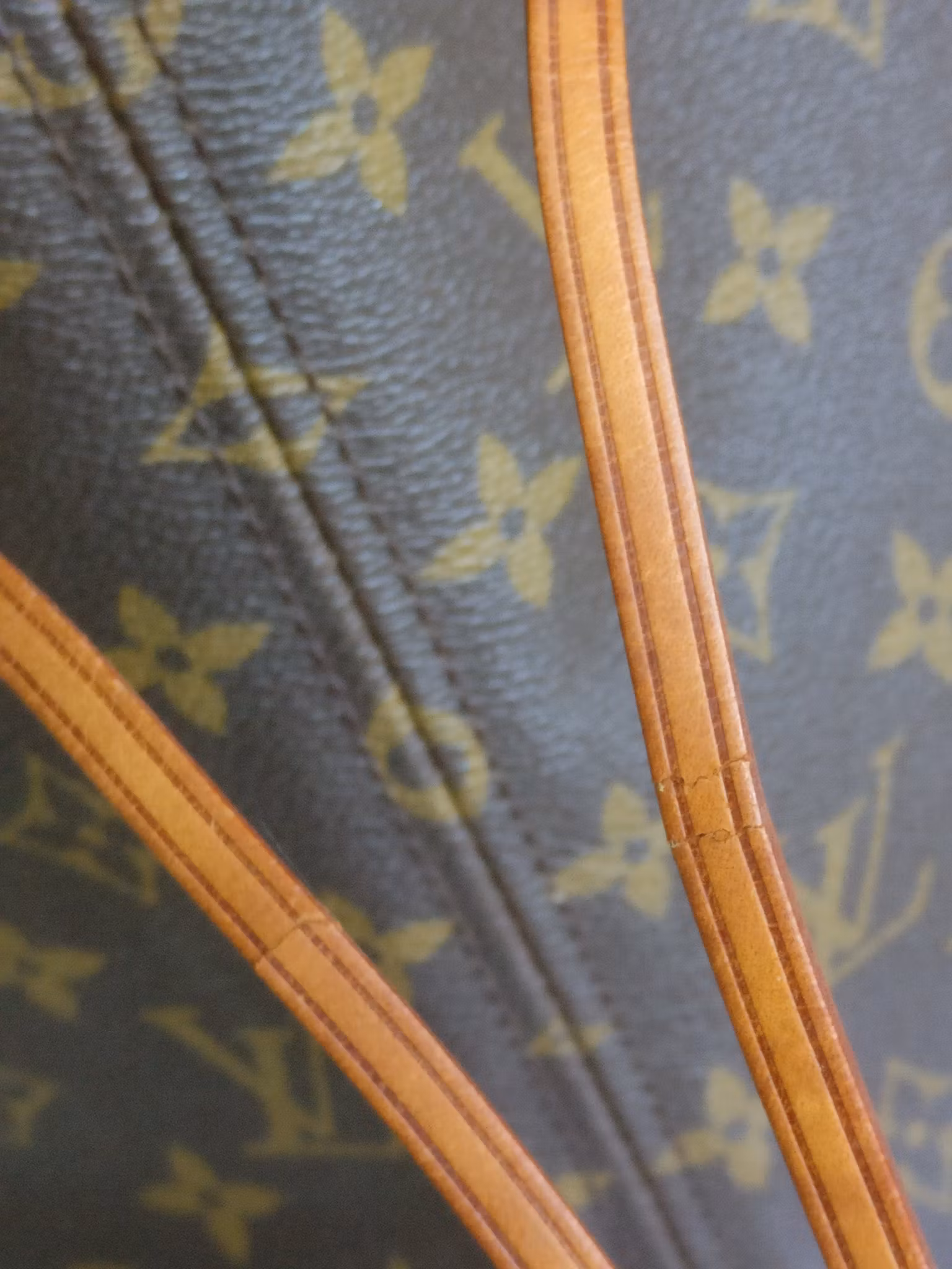 Louis Vuitton Neverfull MM