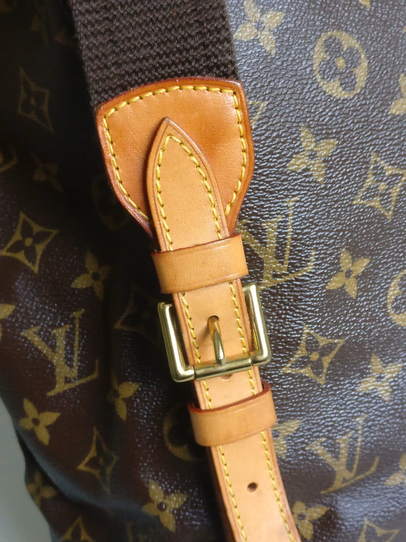 Louis Vuitton Montsouris GM backpack