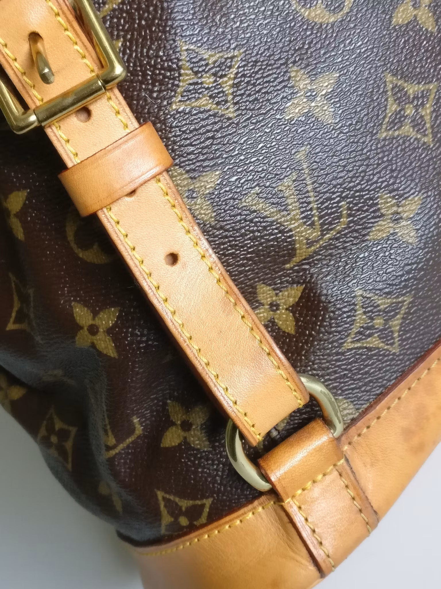 Louis Vuitton Montsouris GM backpack