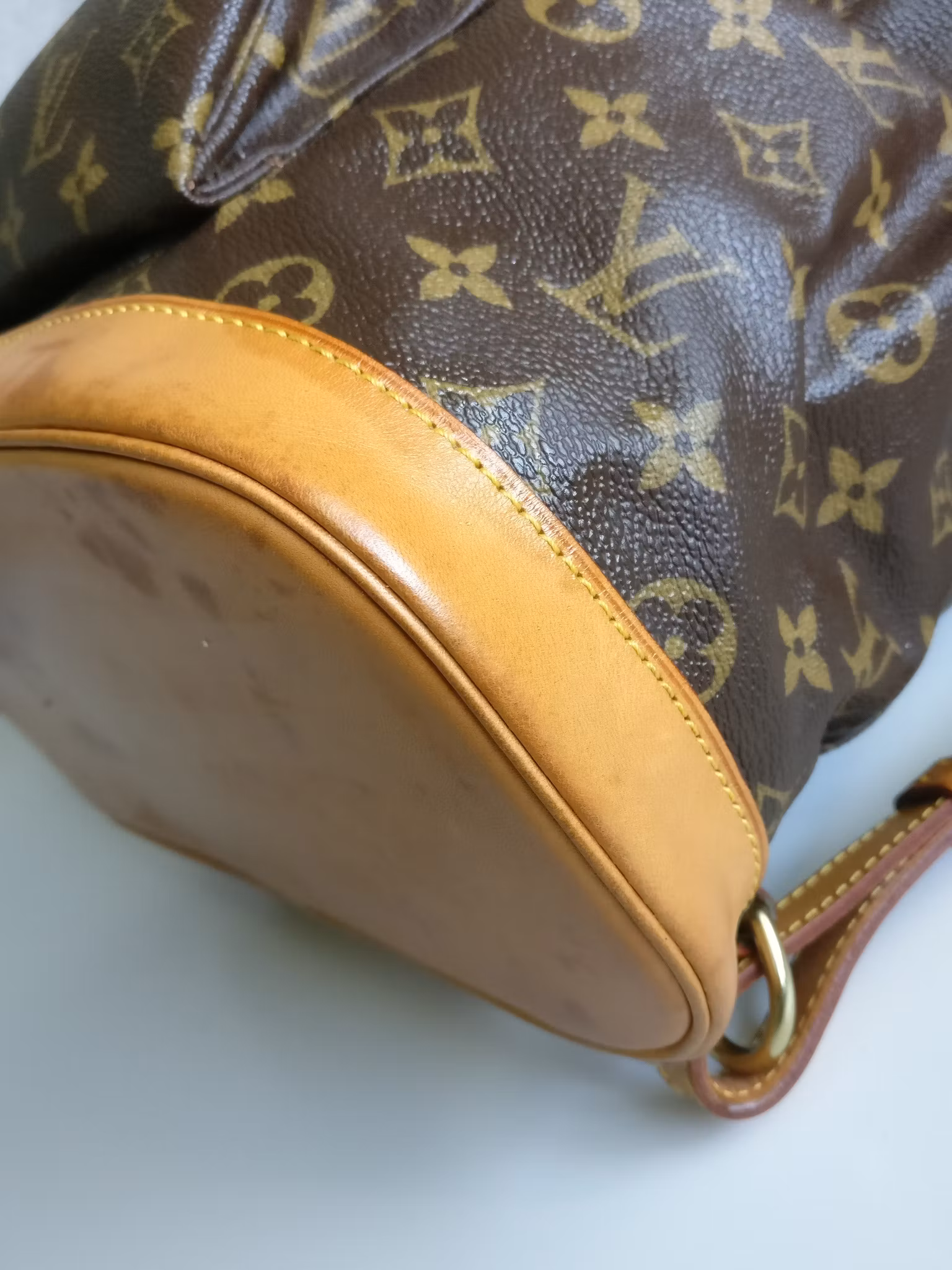 Louis Vuitton Montsouris GM backpack