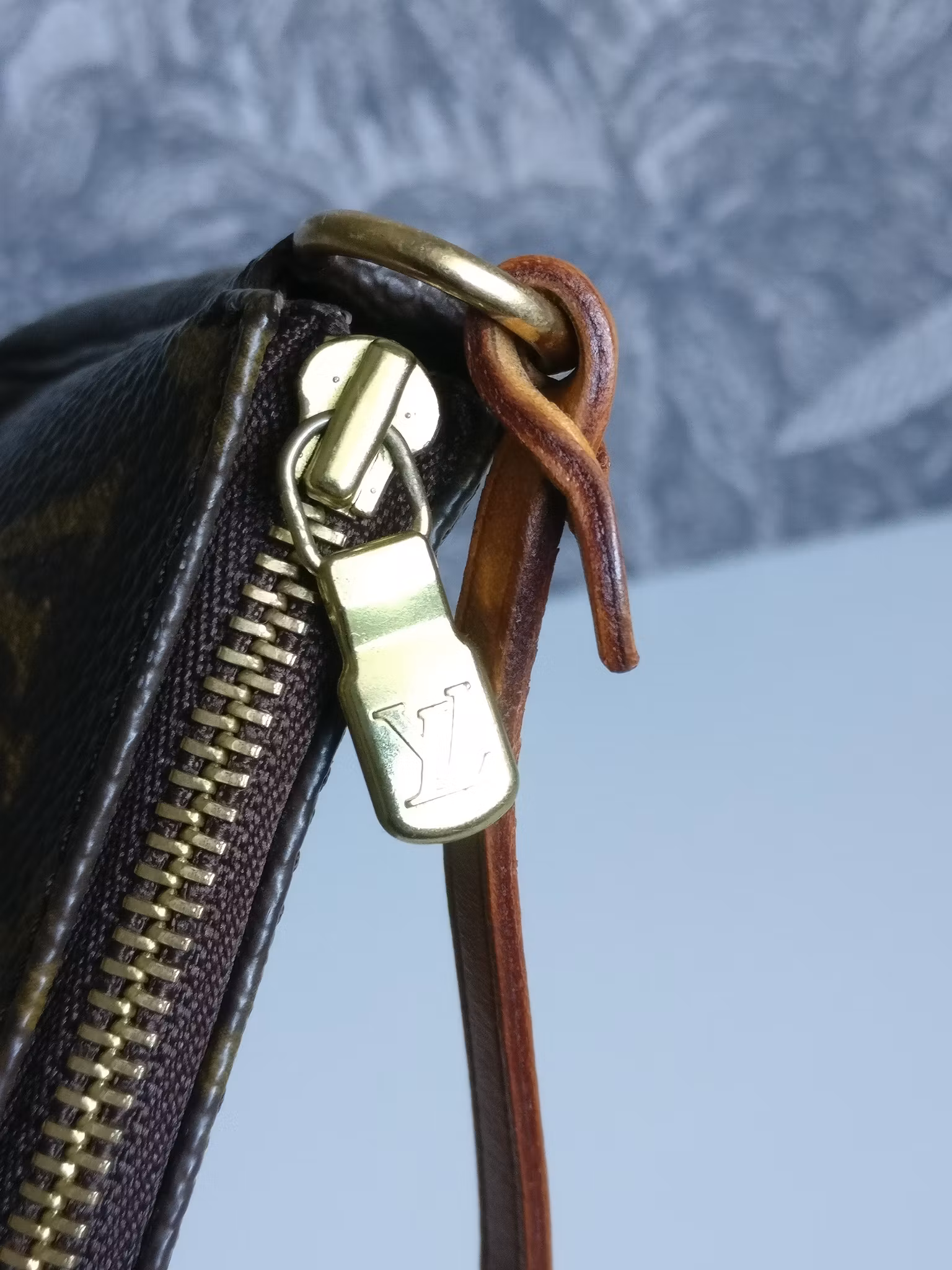 Louis Vuitton Pochette Accessoires