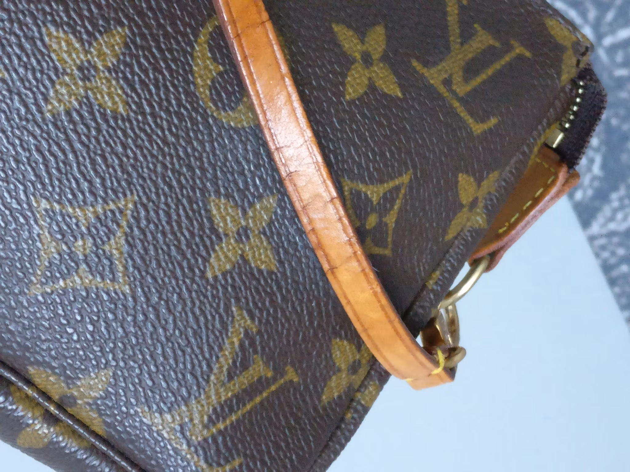 Louis Vuitton Pochette Accessoires