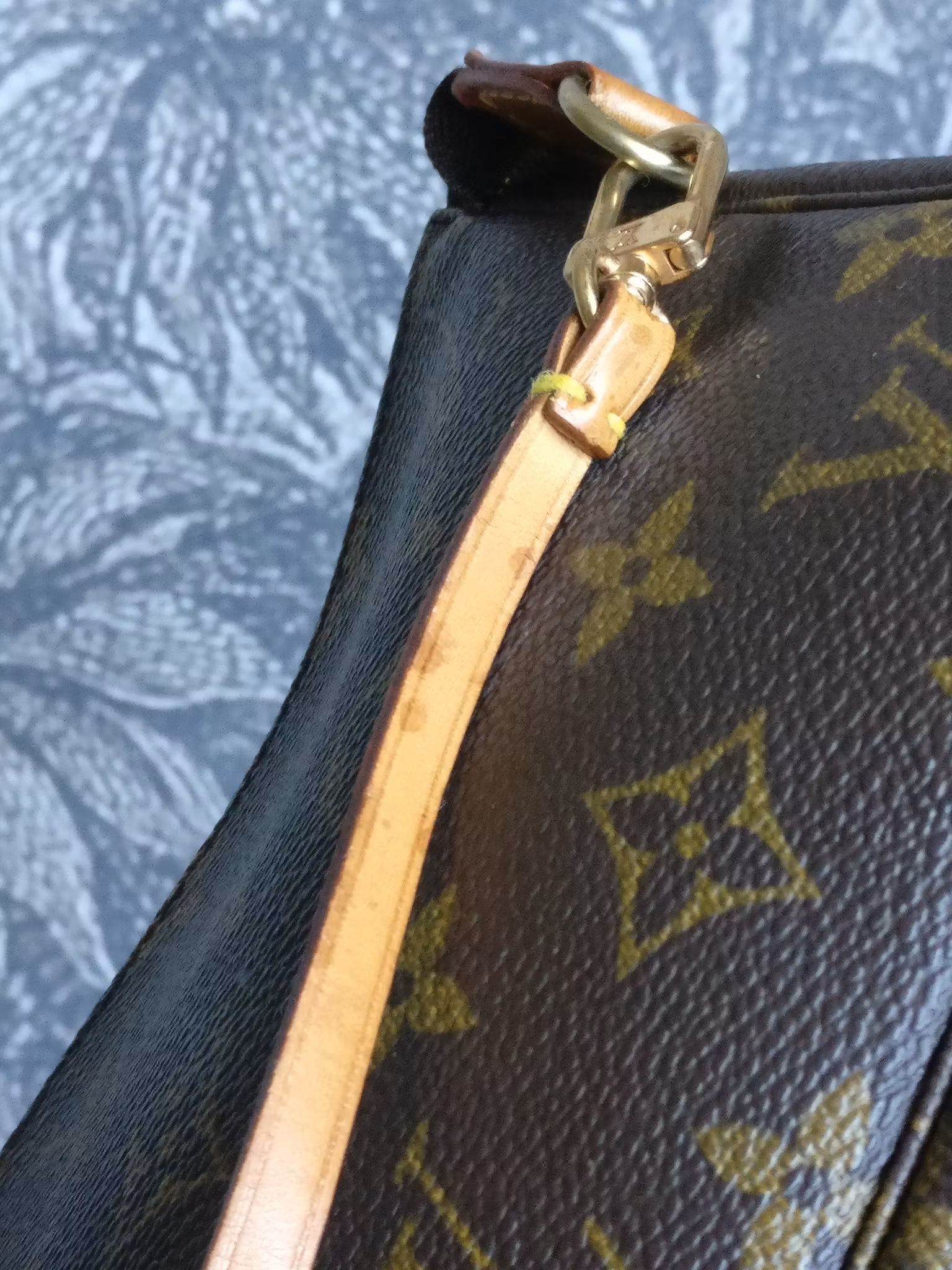 Louis Vuitton Pochette Accessoires