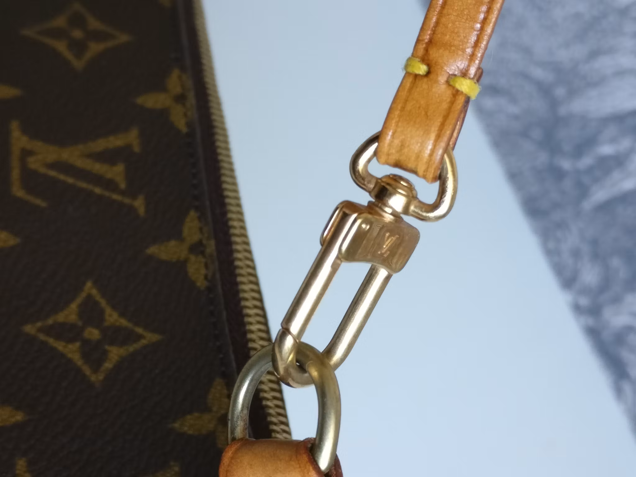 Louis Vuitton Pochette Accessoires