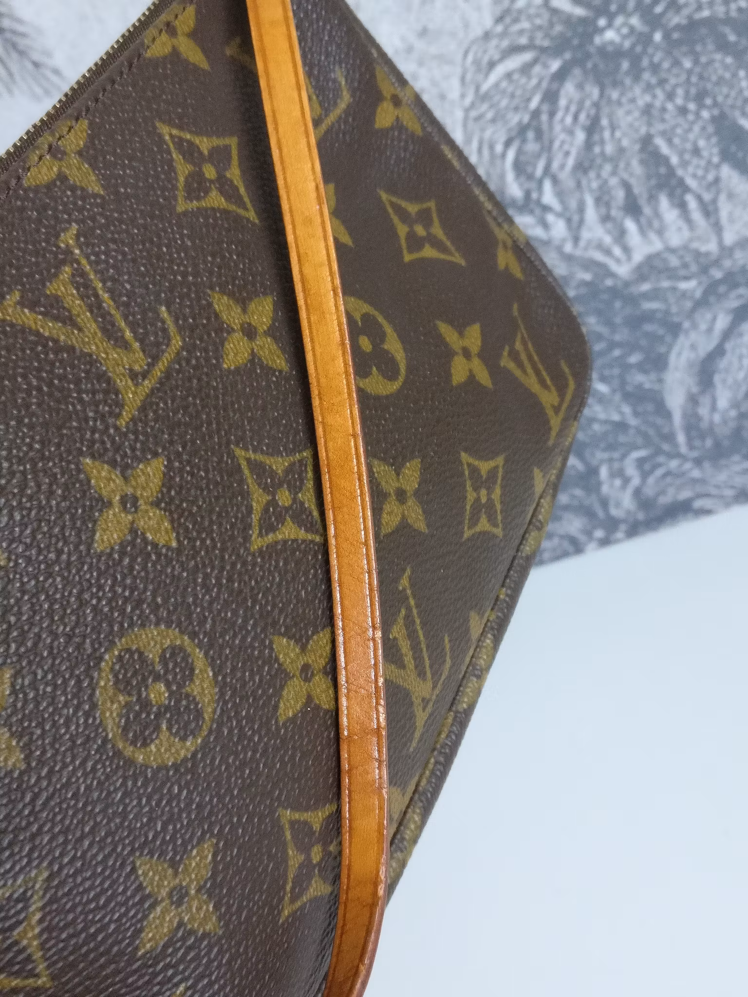 Louis Vuitton Pochette Accessoires