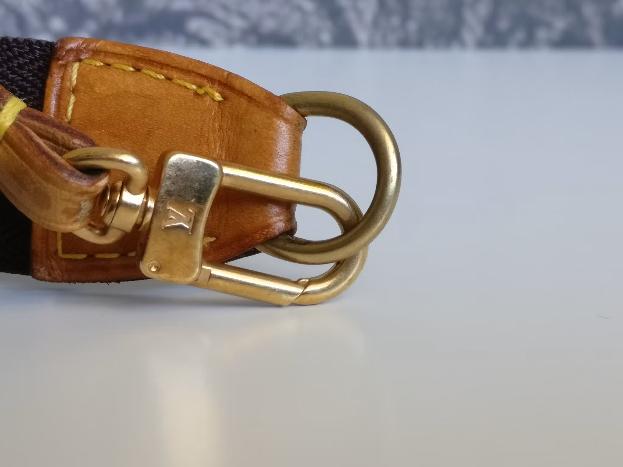Louis Vuitton Pochette Accessoires