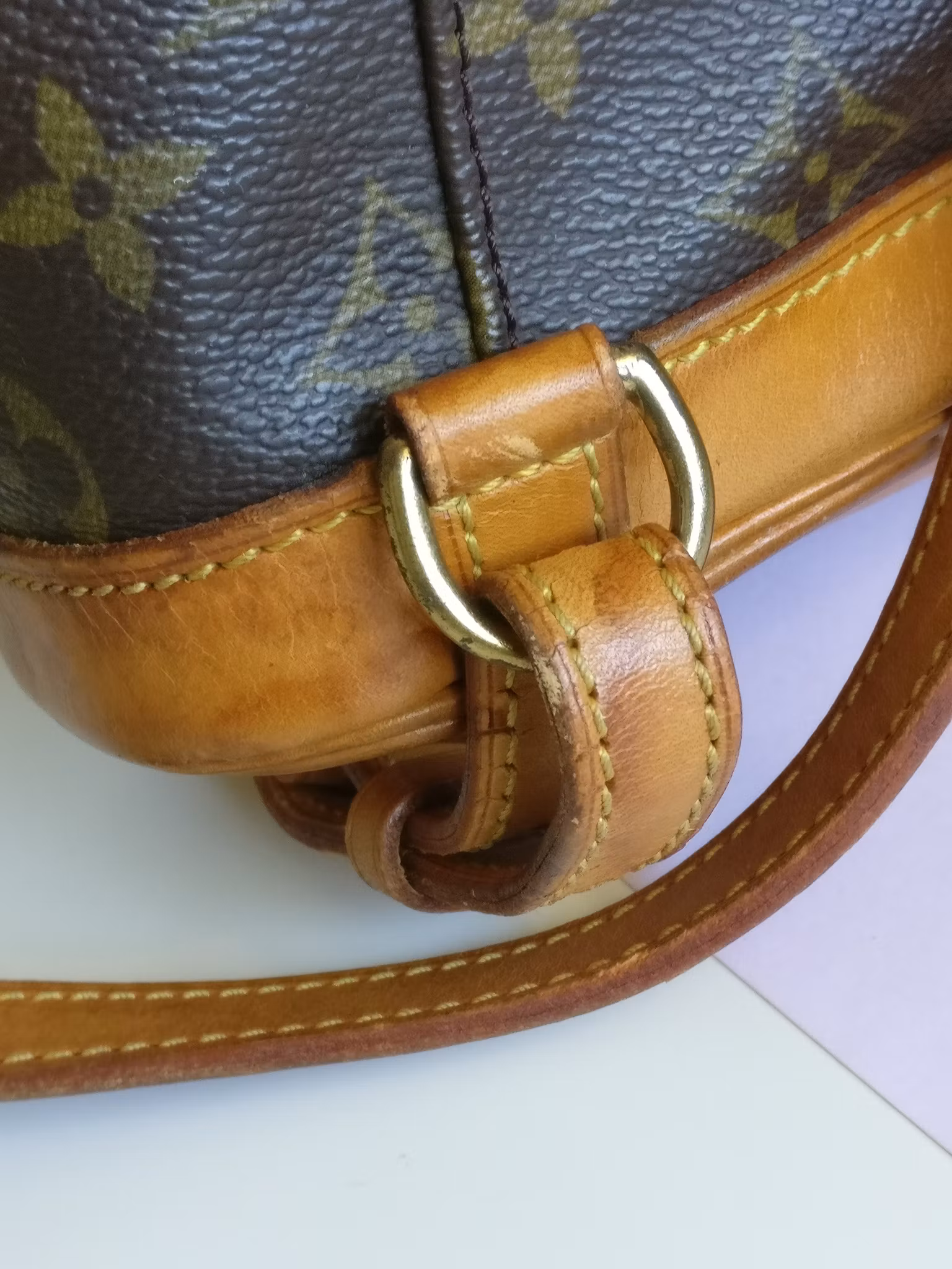 Louis Vuitton Montsouris PM backpack
