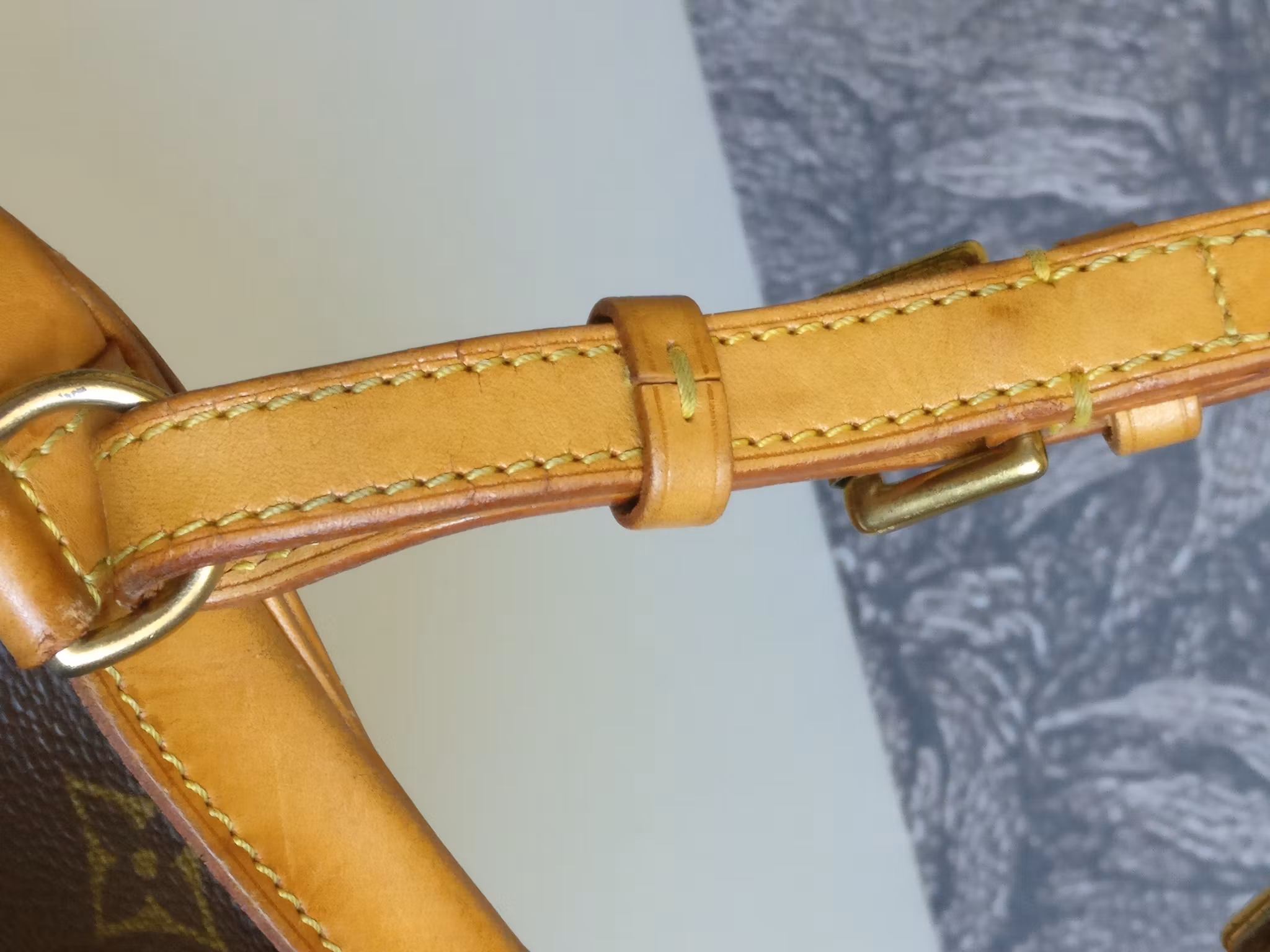 Louis Vuitton Montsouris PM backpack