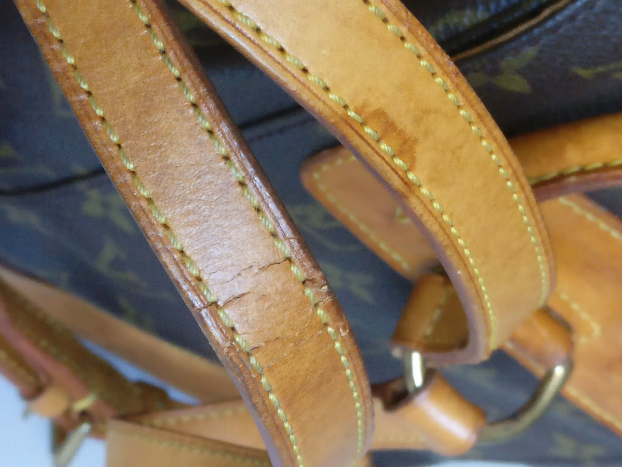 Louis Vuitton Montsouris PM backpack