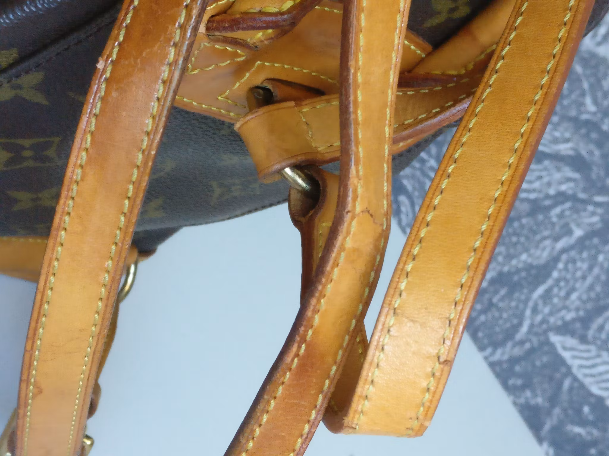 Louis Vuitton Montsouris PM backpack